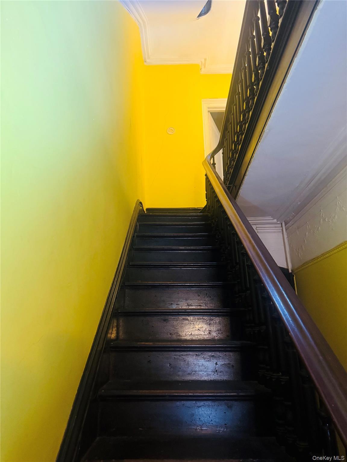 Single Family Pacific Street Brooklyn, NY 11213, MLS-1030852-3