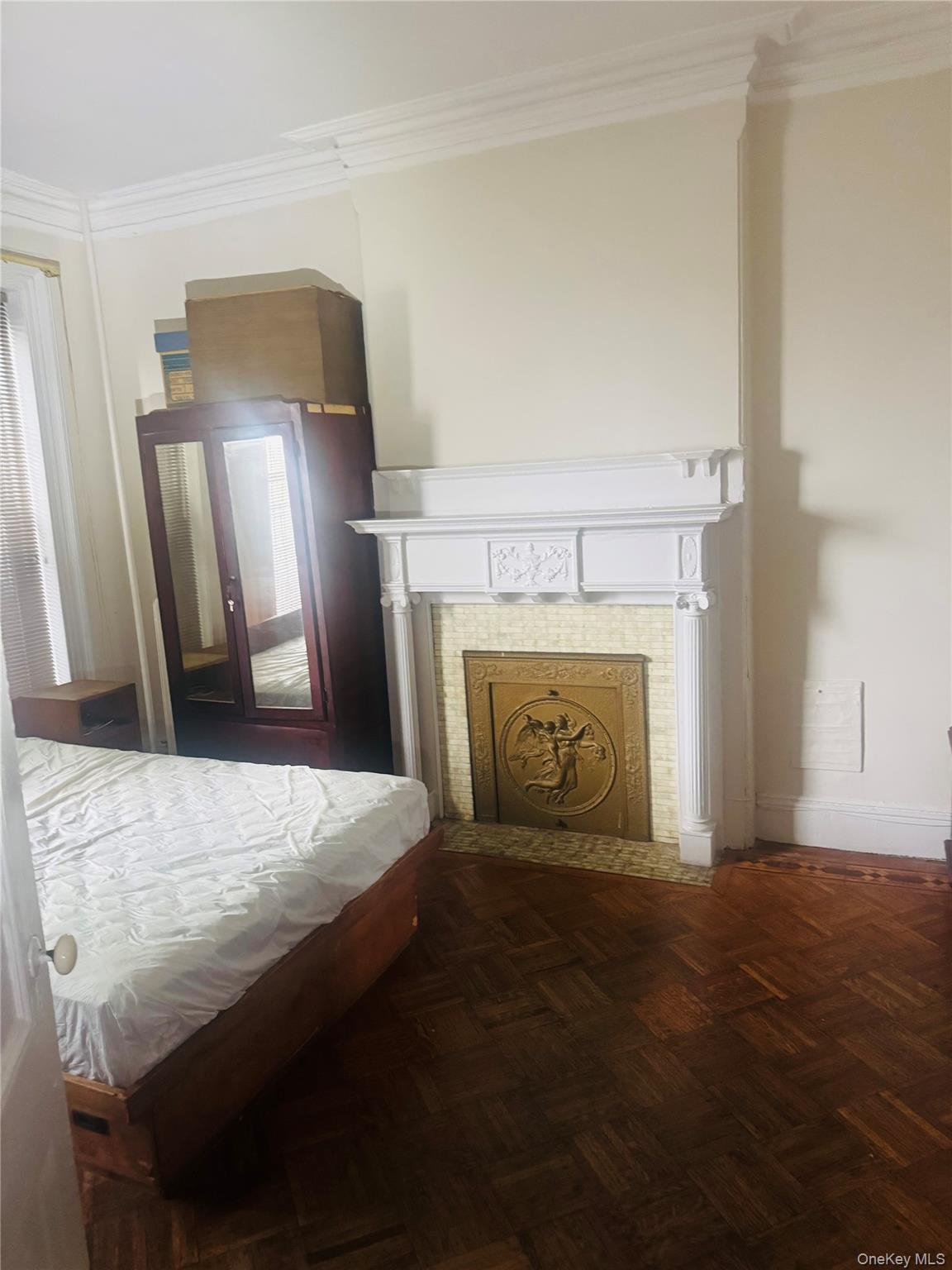 Single Family Pacific Street Brooklyn, NY 11213, MLS-1030852-6