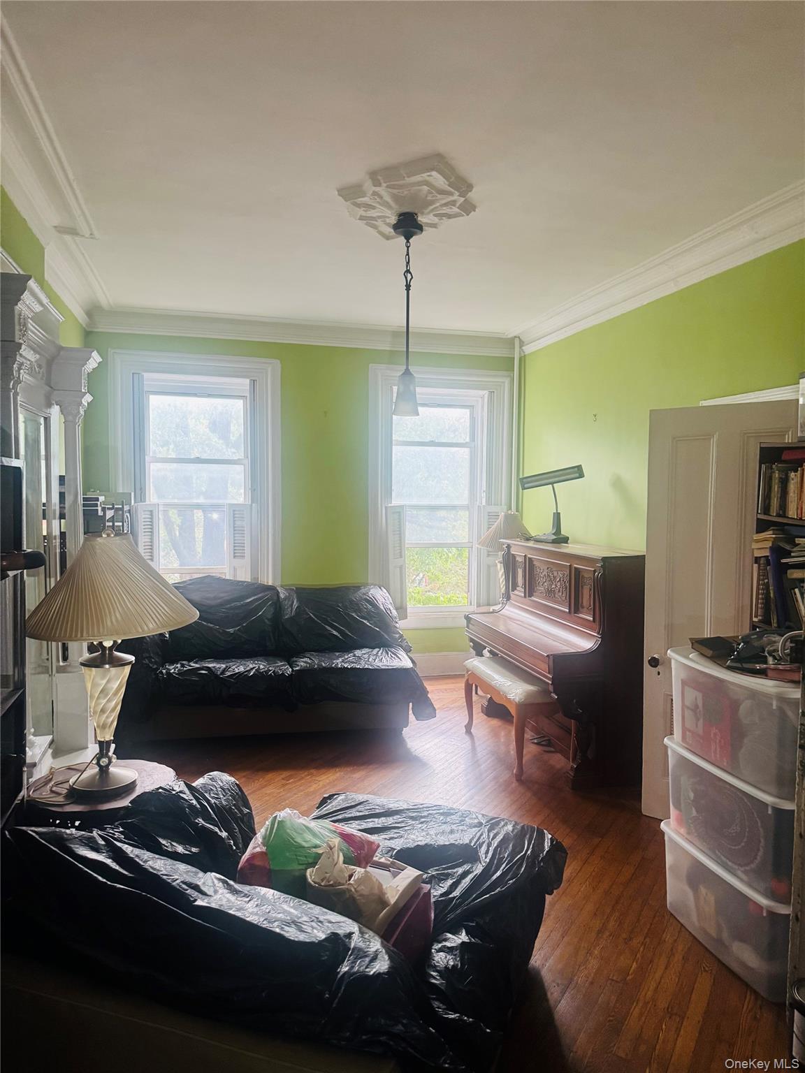 Single Family Pacific Street Brooklyn, NY 11213, MLS-1030852-7