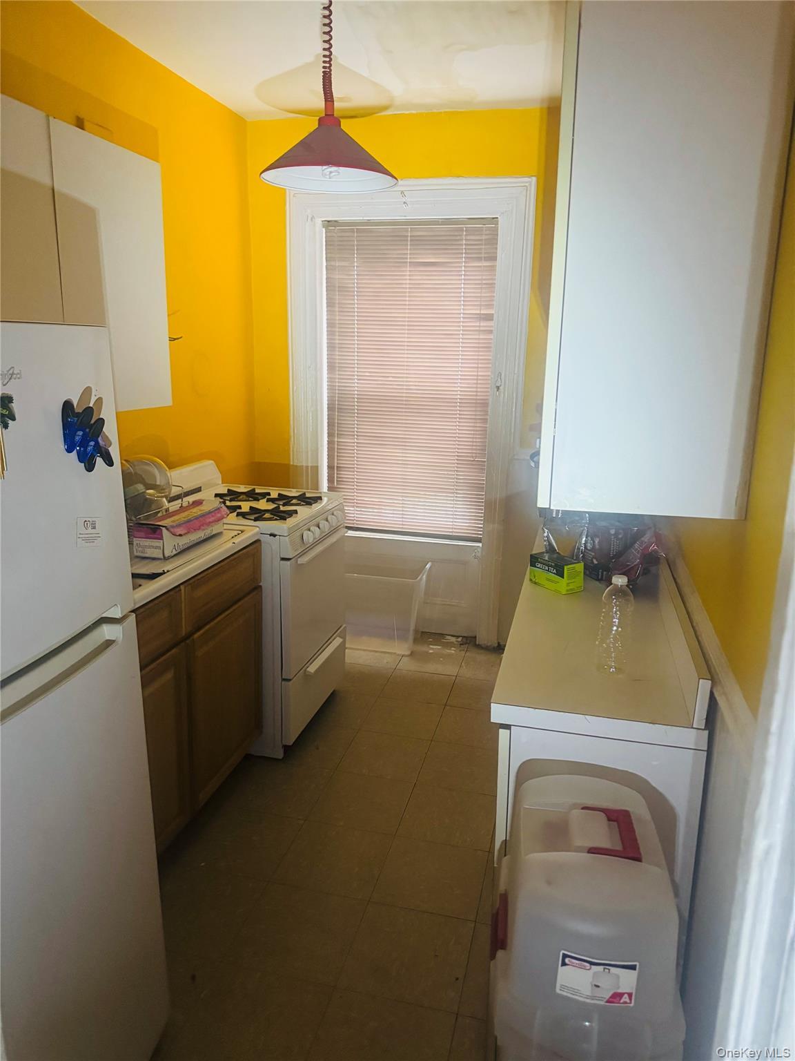 Single Family Pacific Street  Brooklyn, NY 11213, MLS-1030852-8