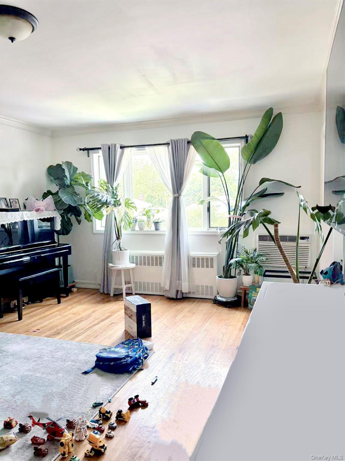 Single Family 169th Street  Queens, NY 11365, MLS-1030886-4