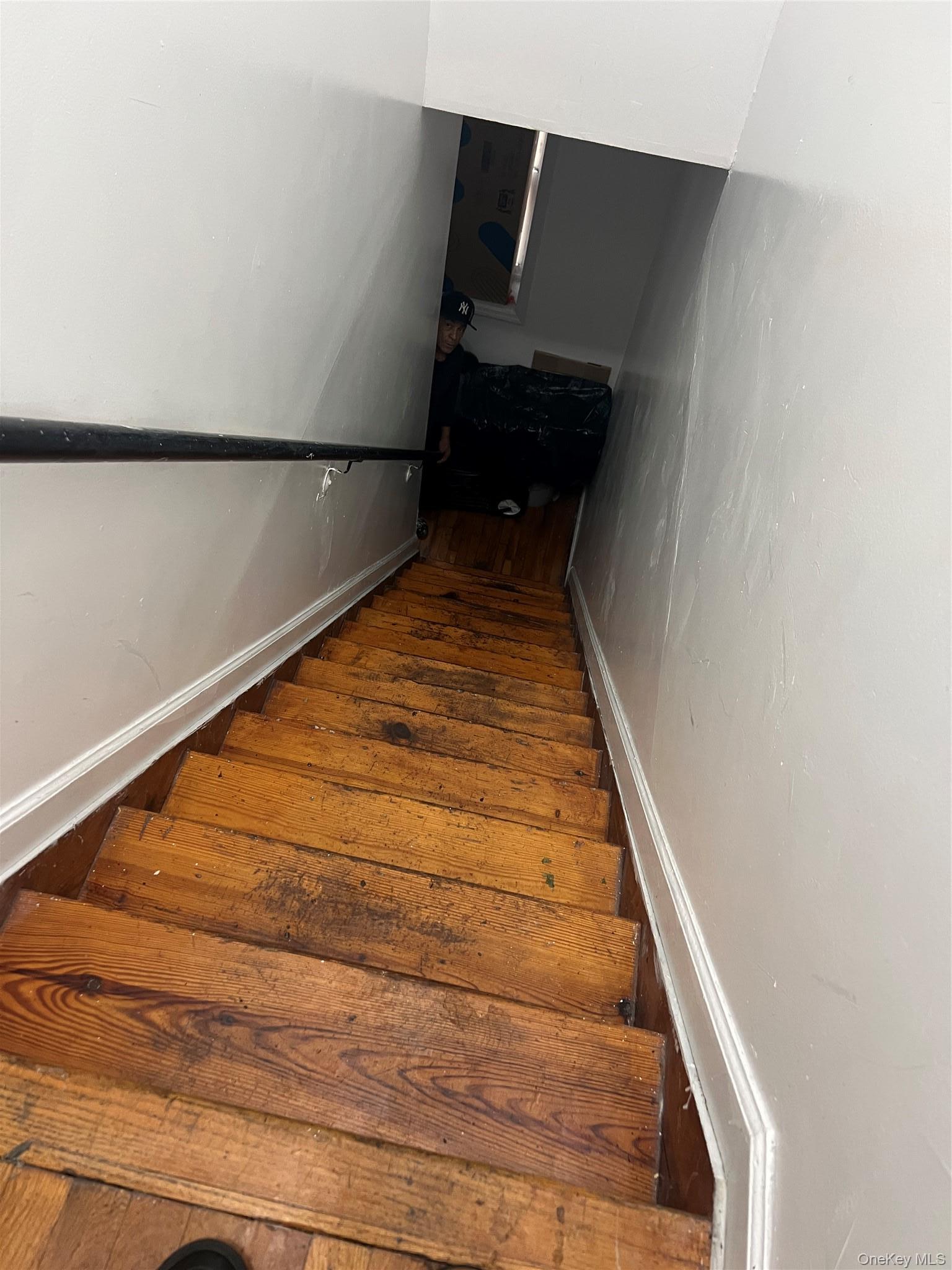 Single Family Elsmere Place Bronx, NY 10460, MLS-1030899-8
