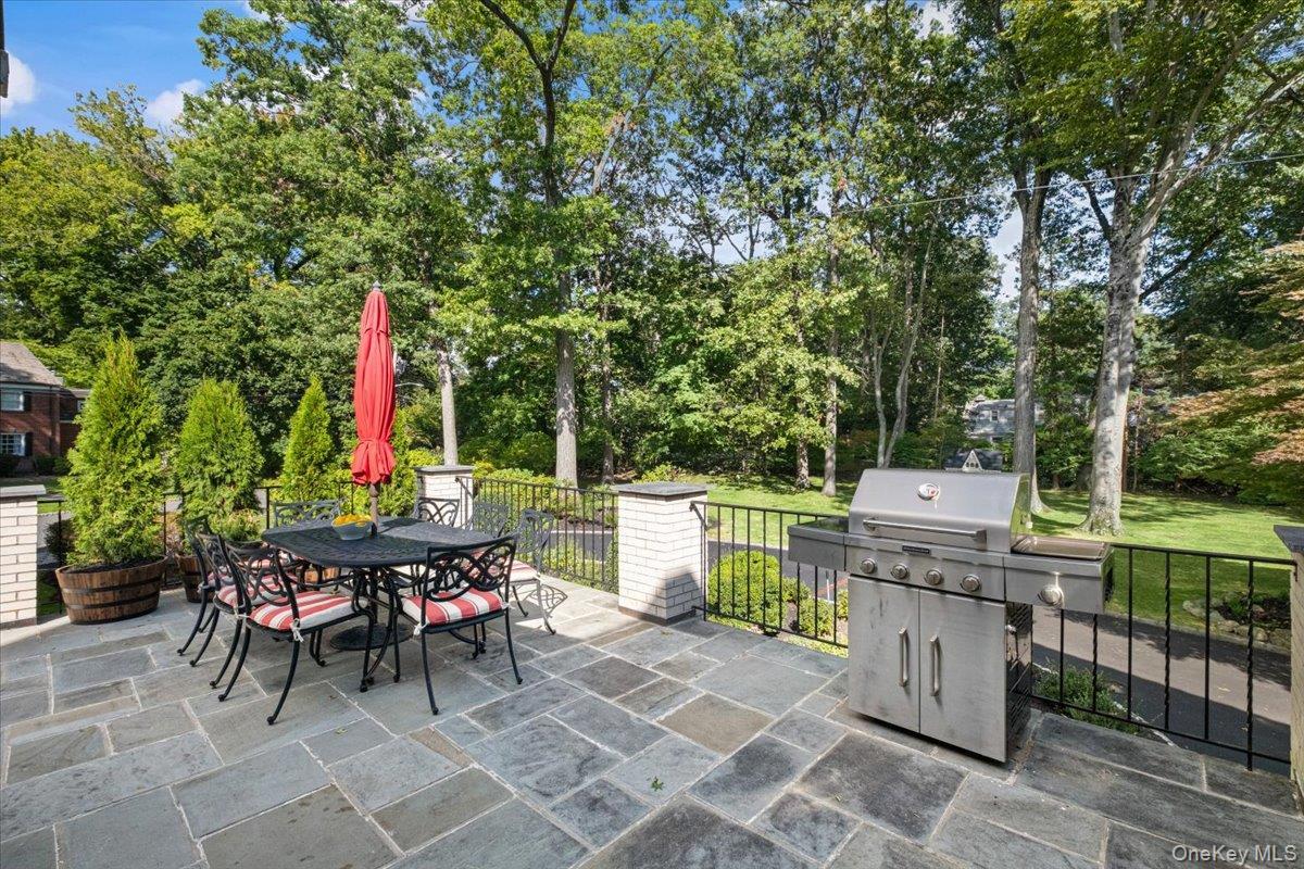 Single Family Beechmont Drive Westchester County, NY 10804, MLS-1030915-28