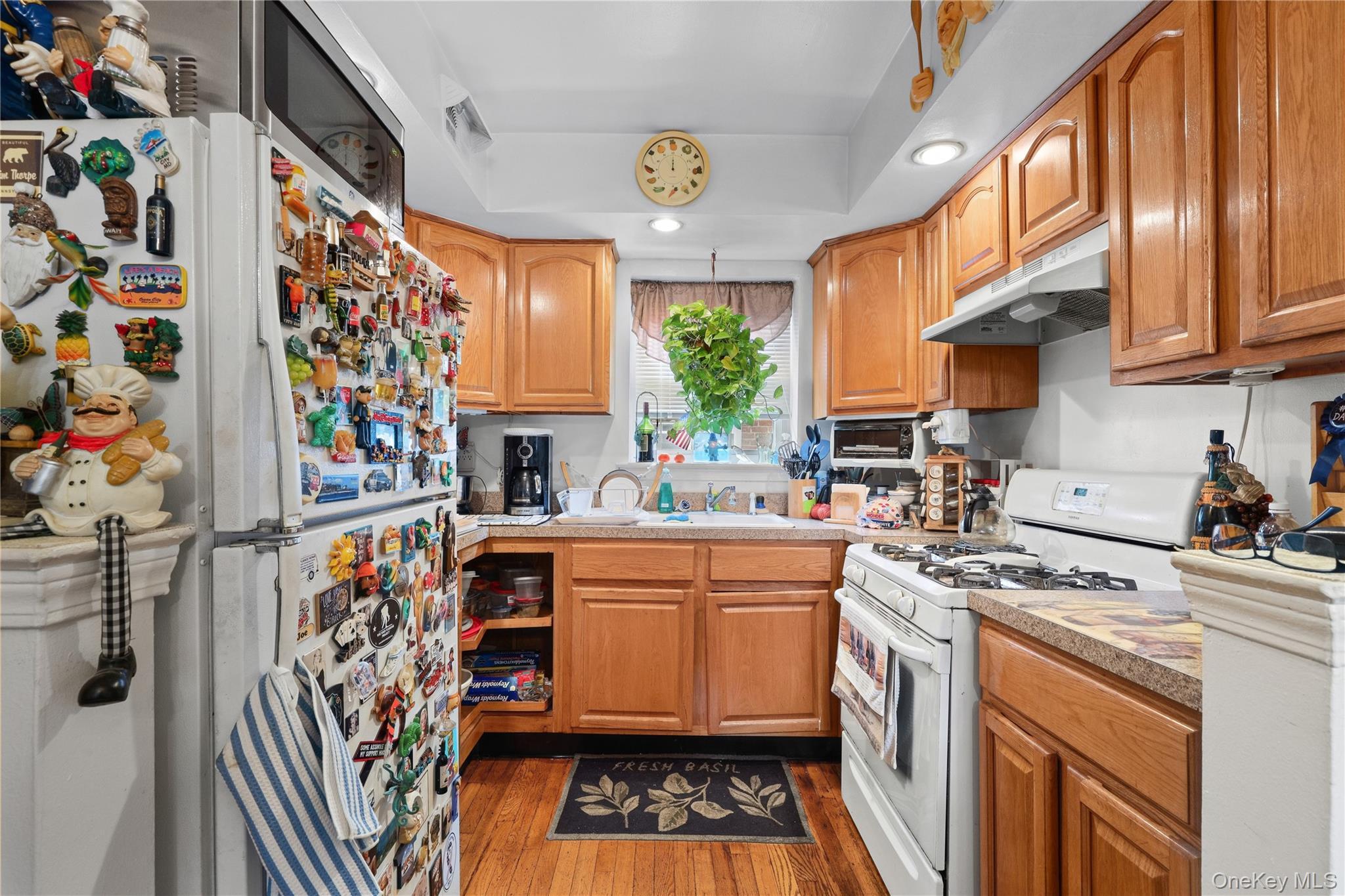 Single Family Griswold Avenue Bronx, NY 10465, MLS-1030927-20