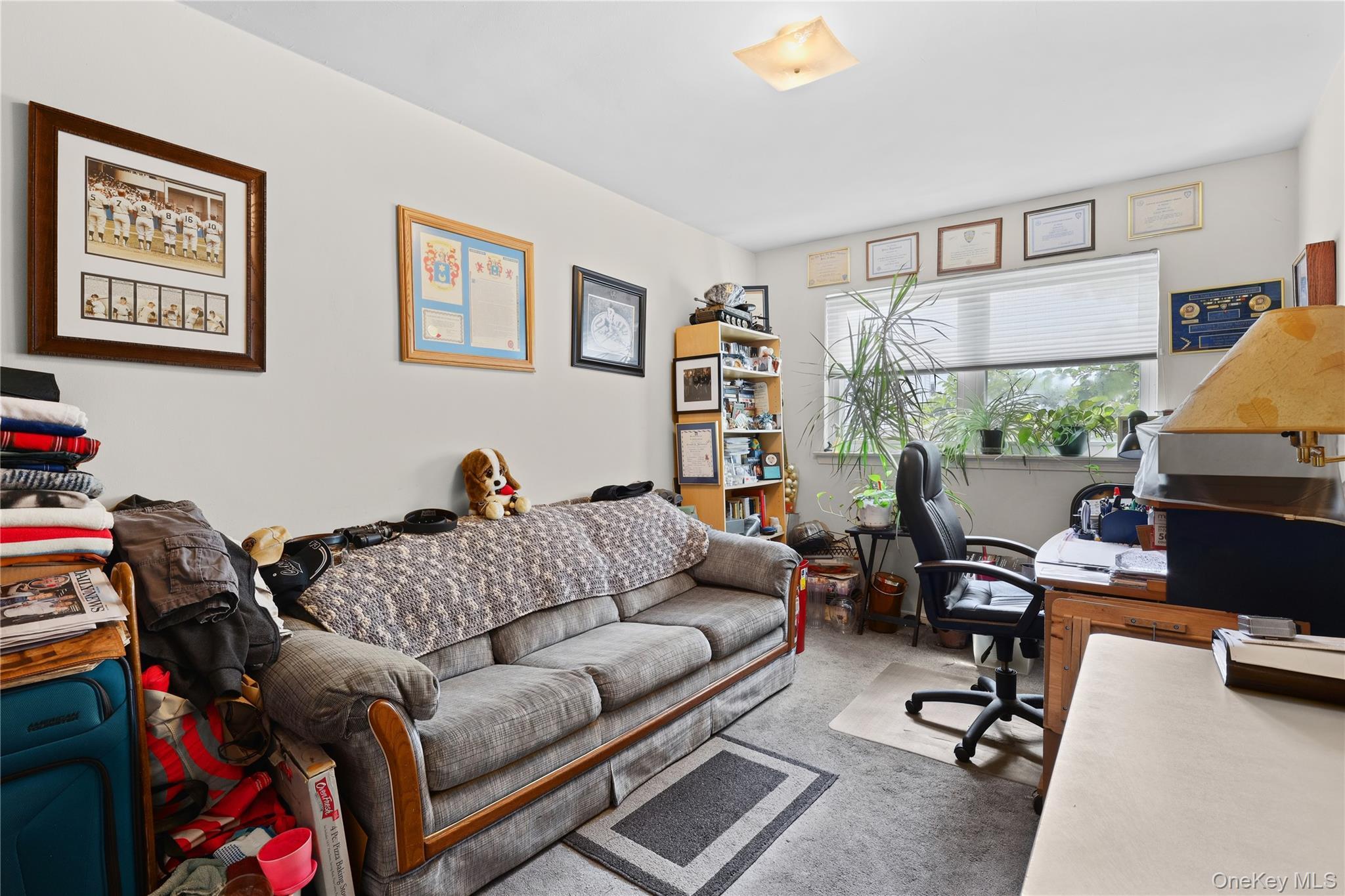 Single Family Griswold Avenue Bronx, NY 10465, MLS-1030927-24