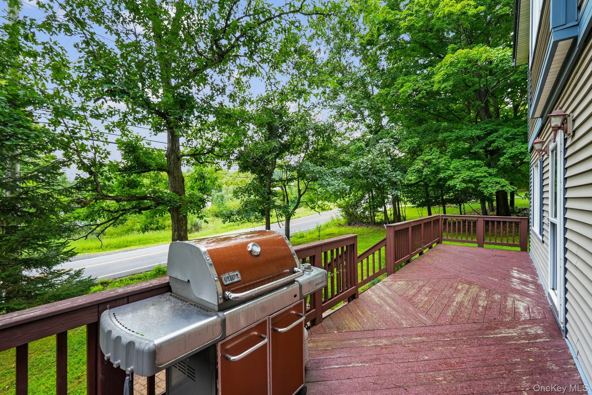 Single Family Ridge Road  Orange County, NY 10930, MLS-1030932-2