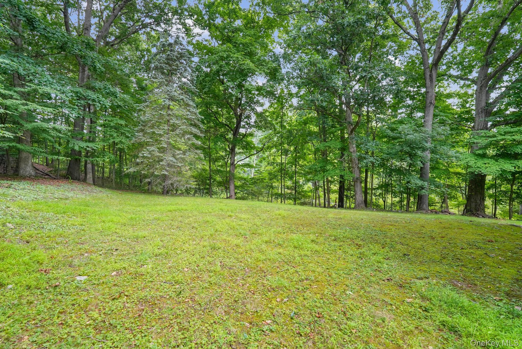 Single Family Ridge Road  Orange County, NY 10930, MLS-1030932-33