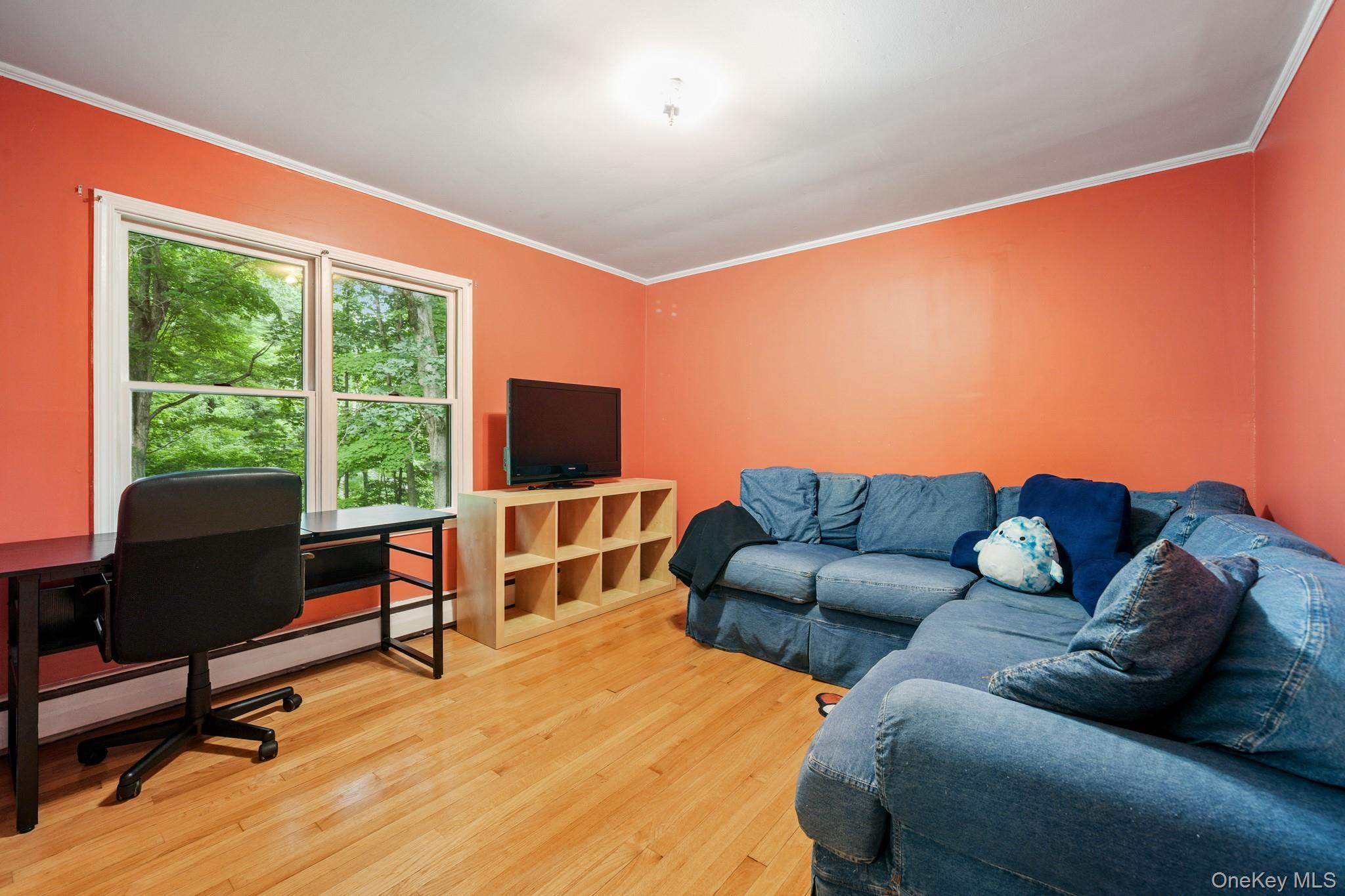 Single Family Ridge Road  Orange County, NY 10930, MLS-1030932-9