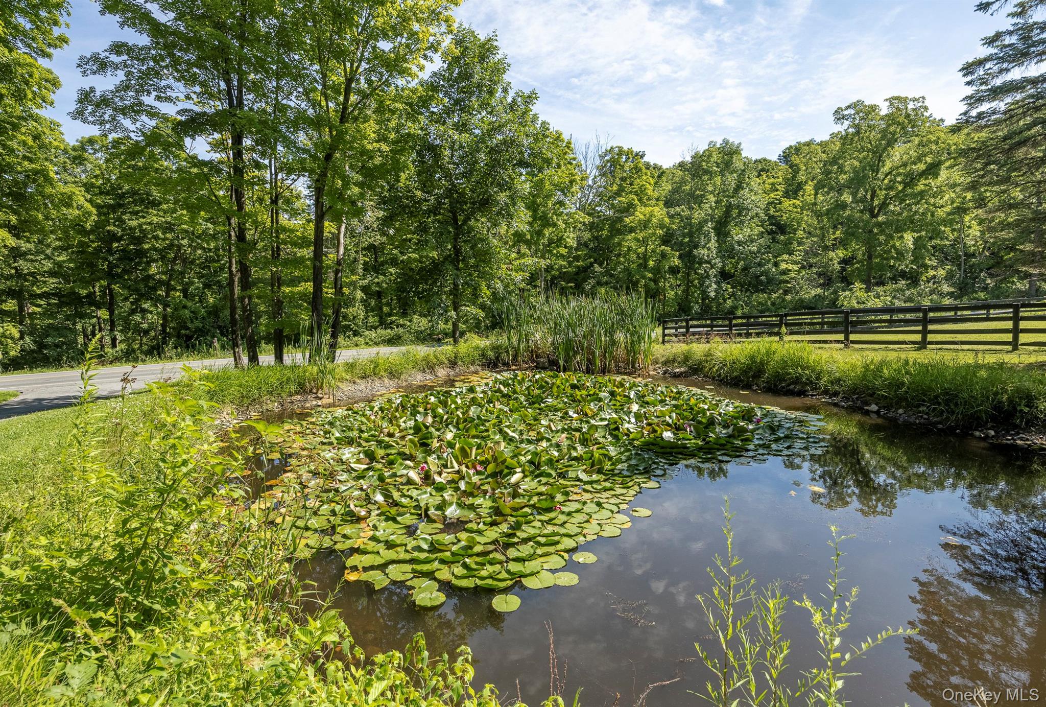 Single Family Camby Road  Dutchess County, NY 12585, MLS-1030960-35