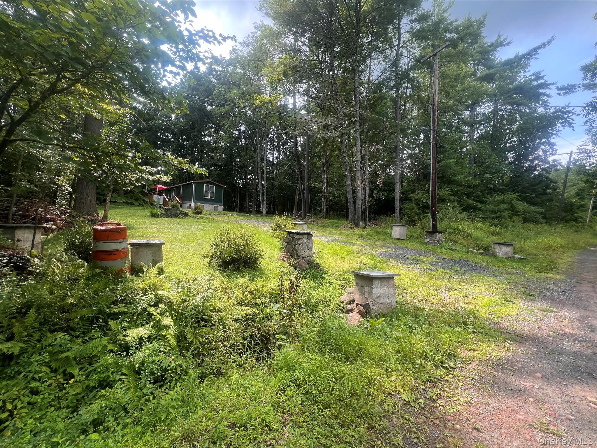 Single Family Lake Country Lane Sullivan County, NY 12764, MLS-1030979-2