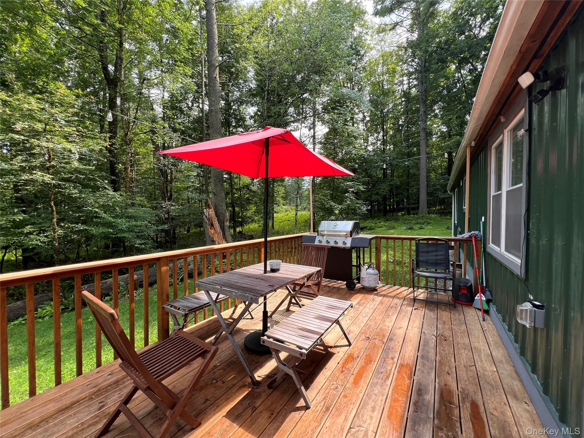 Single Family Lake Country Lane Sullivan County, NY 12764, MLS-1030979-25