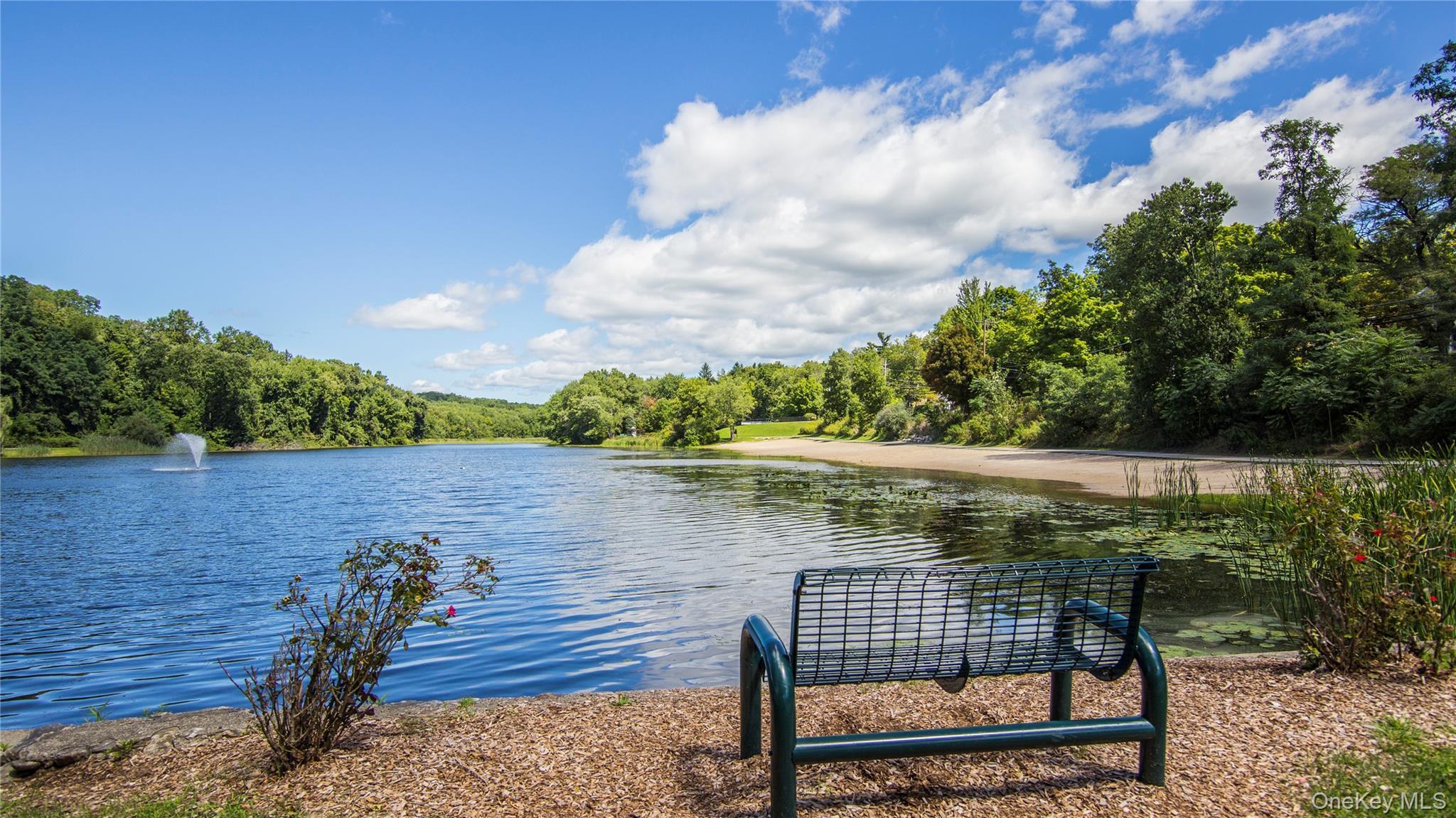Single Family Sandpiper Court Westchester County, NY 10598, MLS-1030986-40