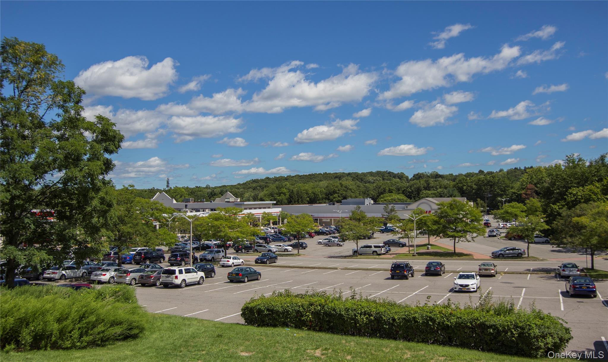 Single Family Sandpiper Court Westchester County, NY 10598, MLS-1030986-43