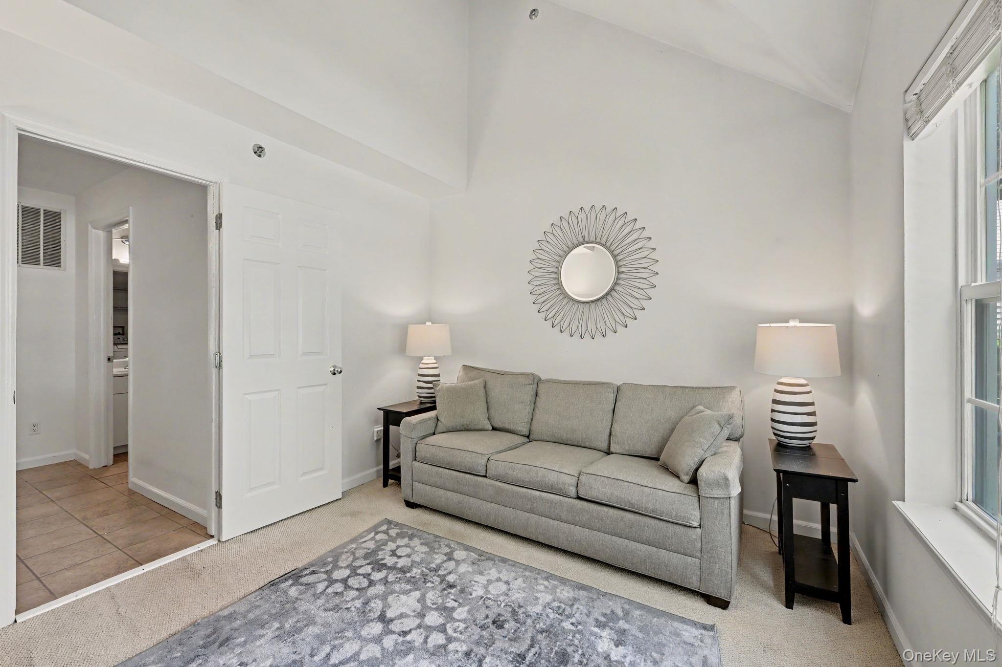 Single Family Sandpiper Court Westchester County, NY 10598, MLS-1030986-9