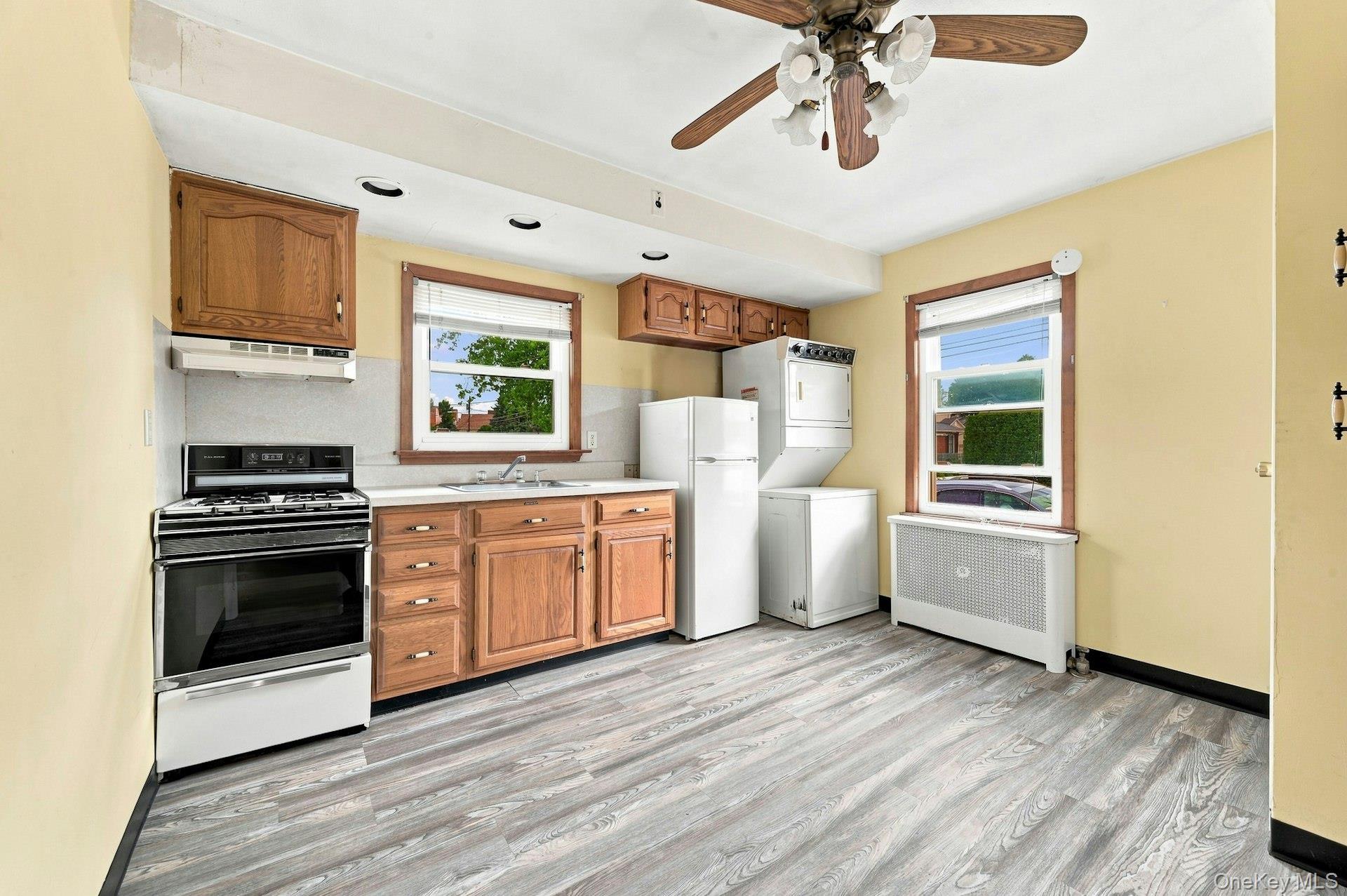 Single Family Emma Street Nassau County, NY 11714, MLS-1030992-11