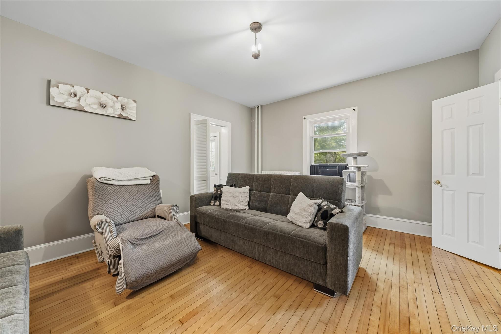 Single Family Park Avenue  Orange County, NY 10930, MLS-1031034-11