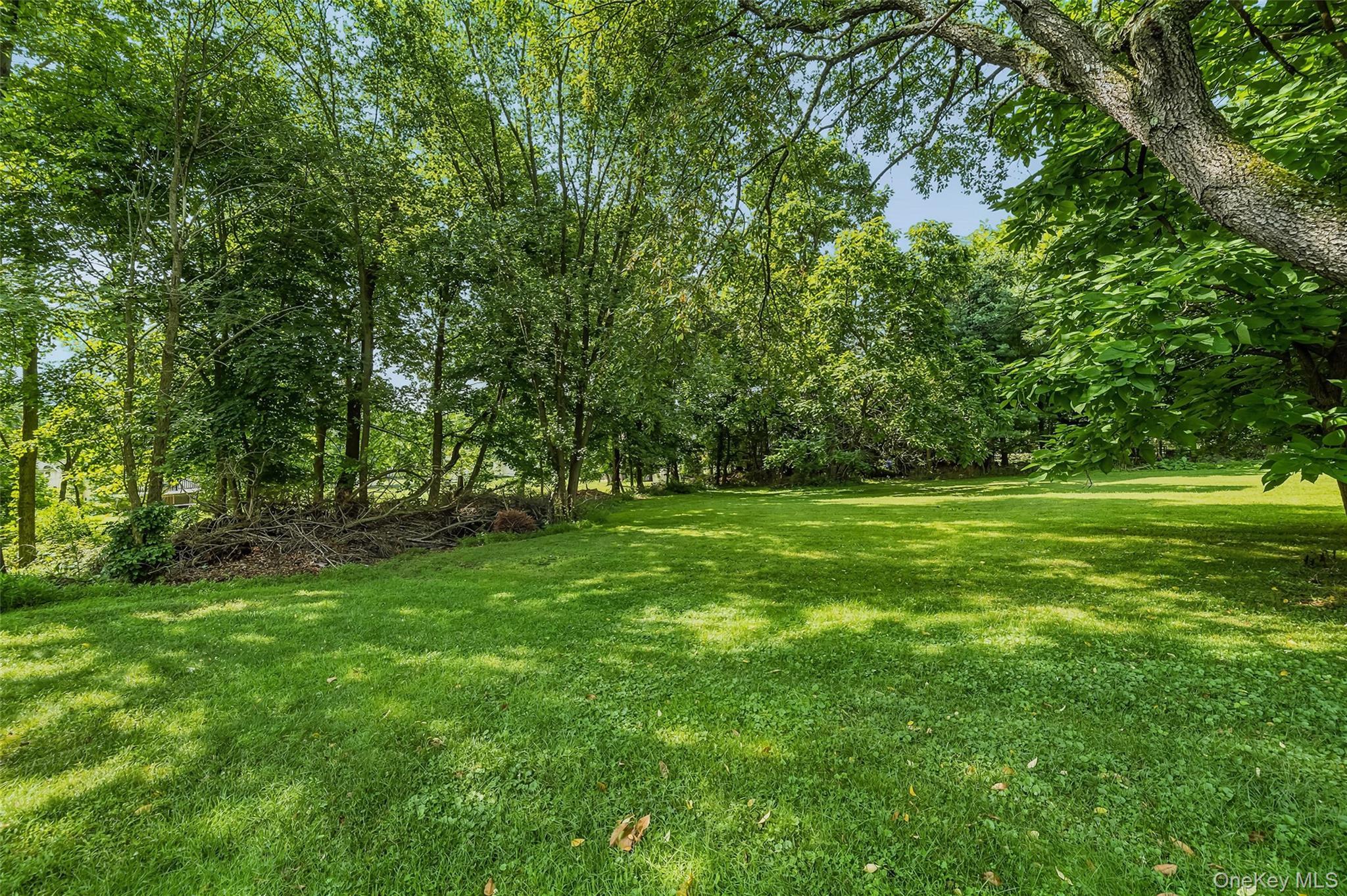 Single Family Park Avenue  Orange County, NY 10930, MLS-1031034-8