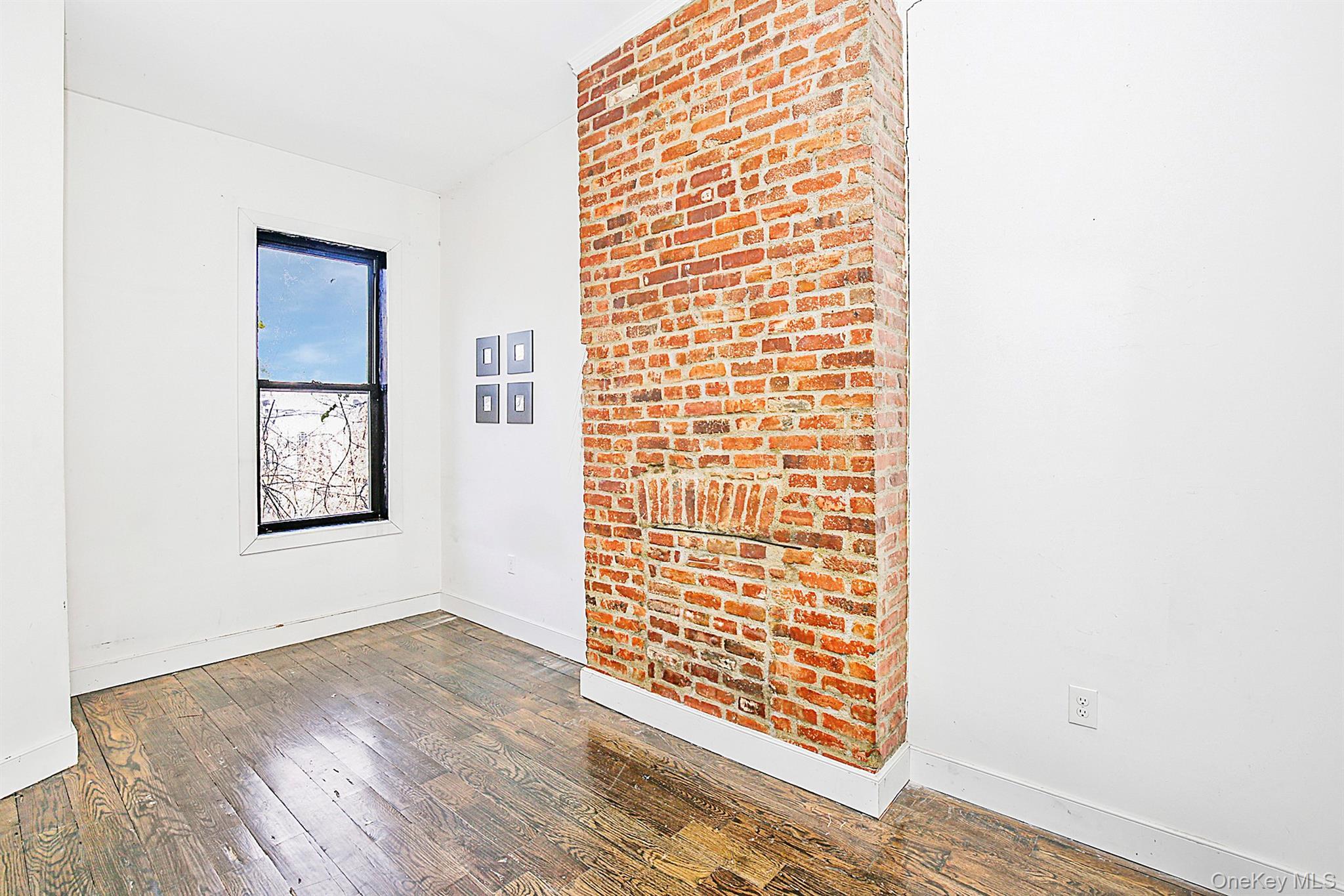 Single Family Eldert Street Brooklyn, NY 11207, MLS-1031035-12