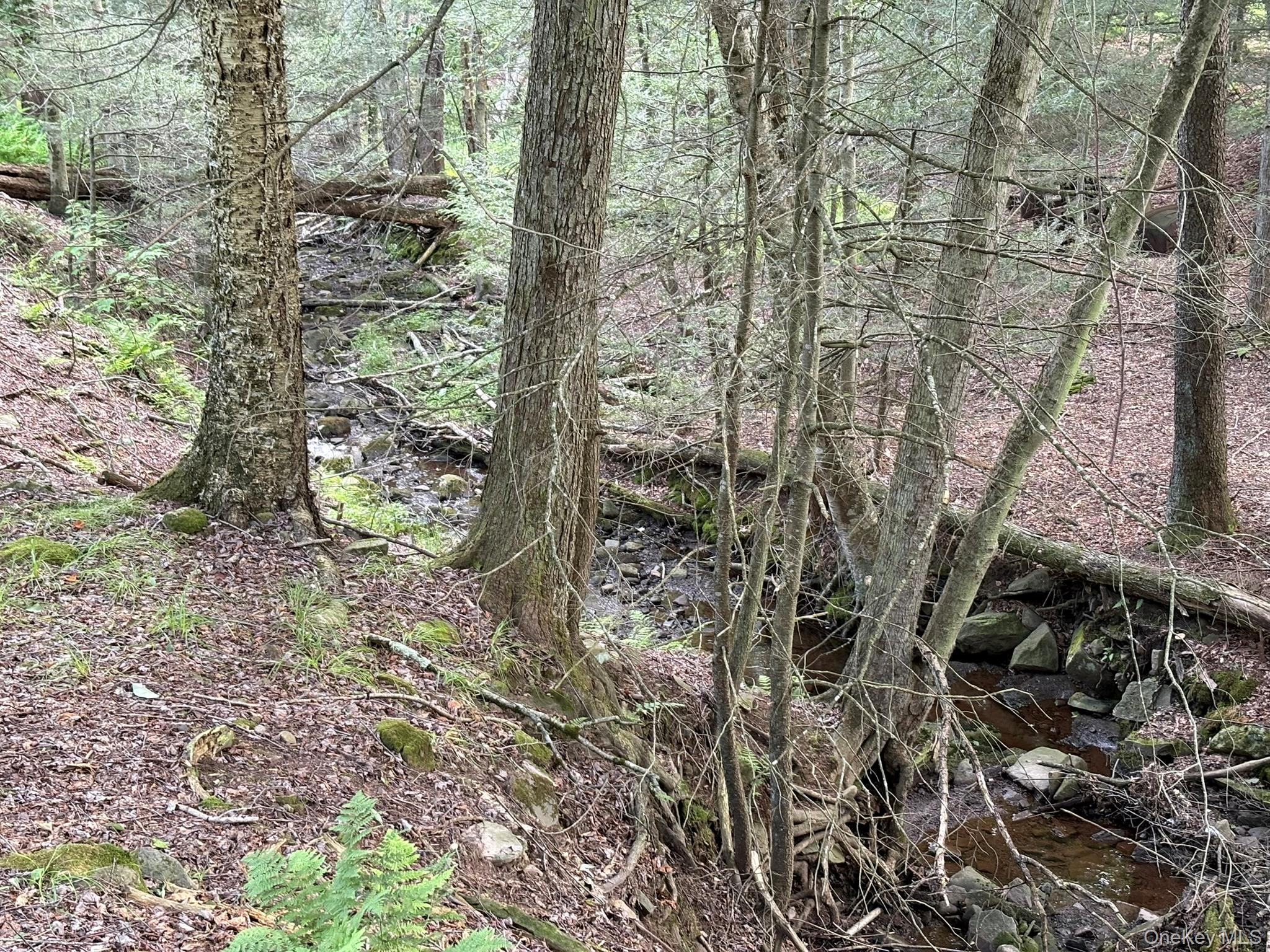 Single Family Schumway Road Sullivan County, NY 12765, MLS-1031040-10