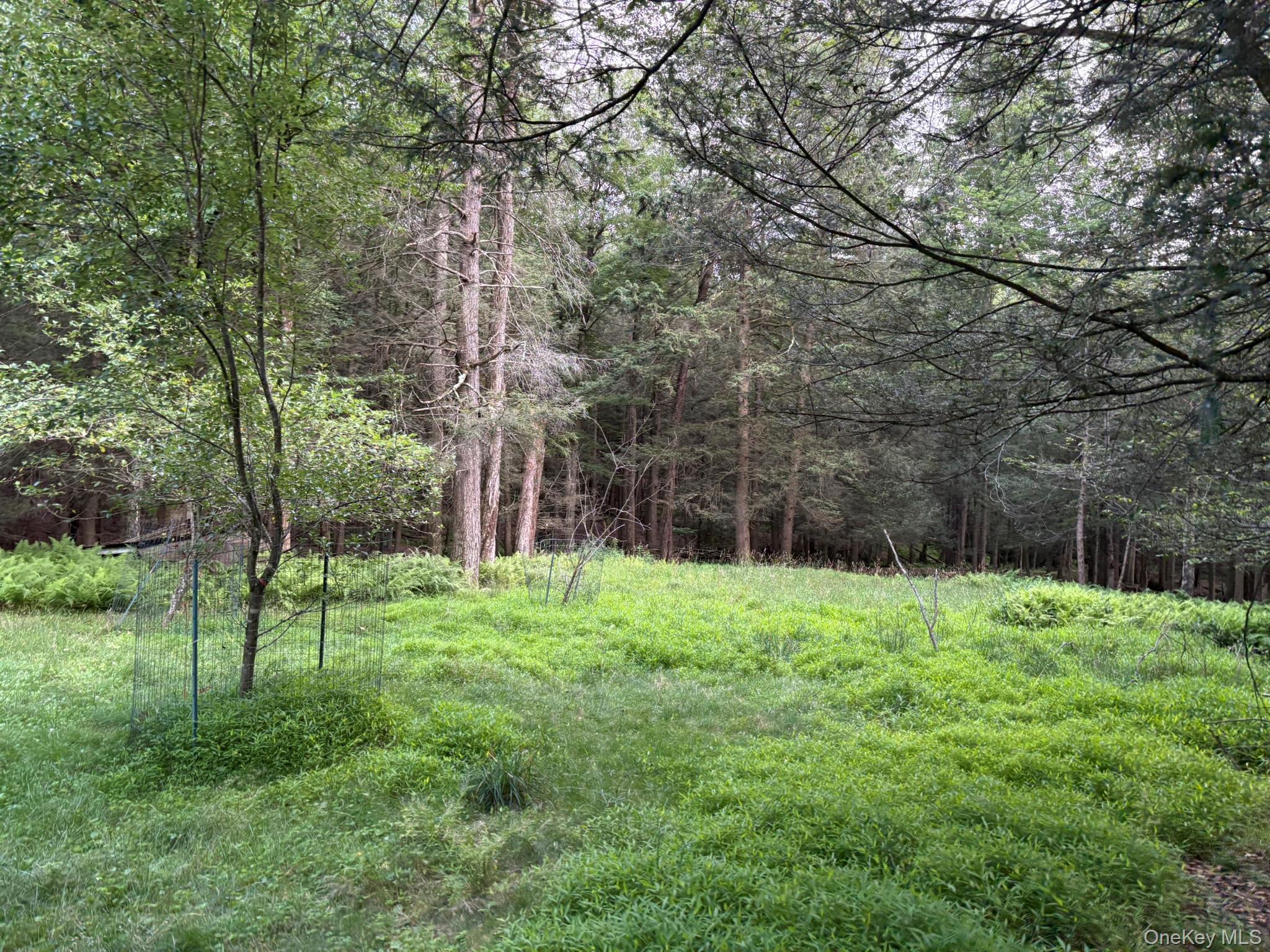 Single Family Schumway Road Sullivan County, NY 12765, MLS-1031040-11