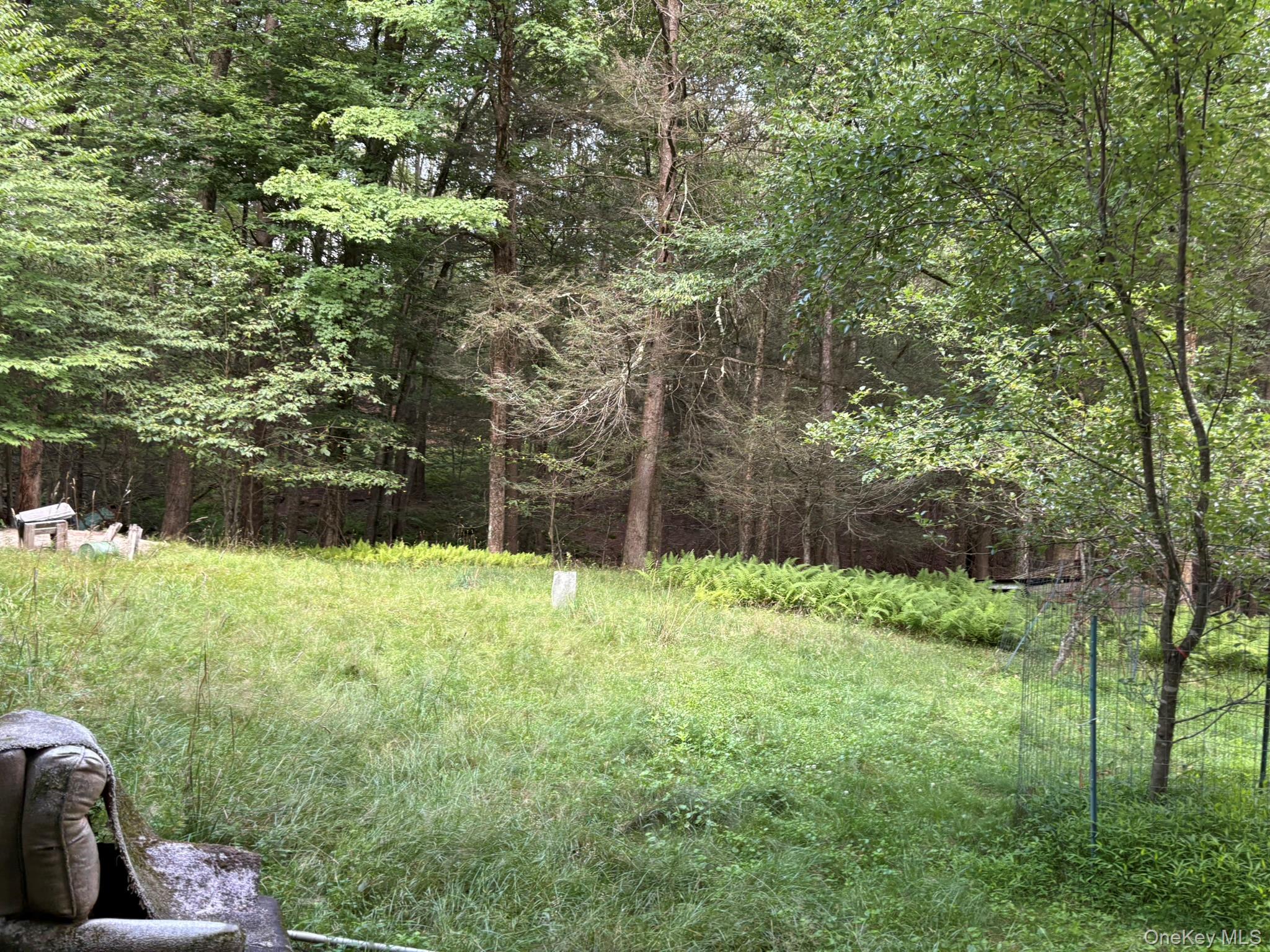 Single Family Schumway Road Sullivan County, NY 12765, MLS-1031040-14