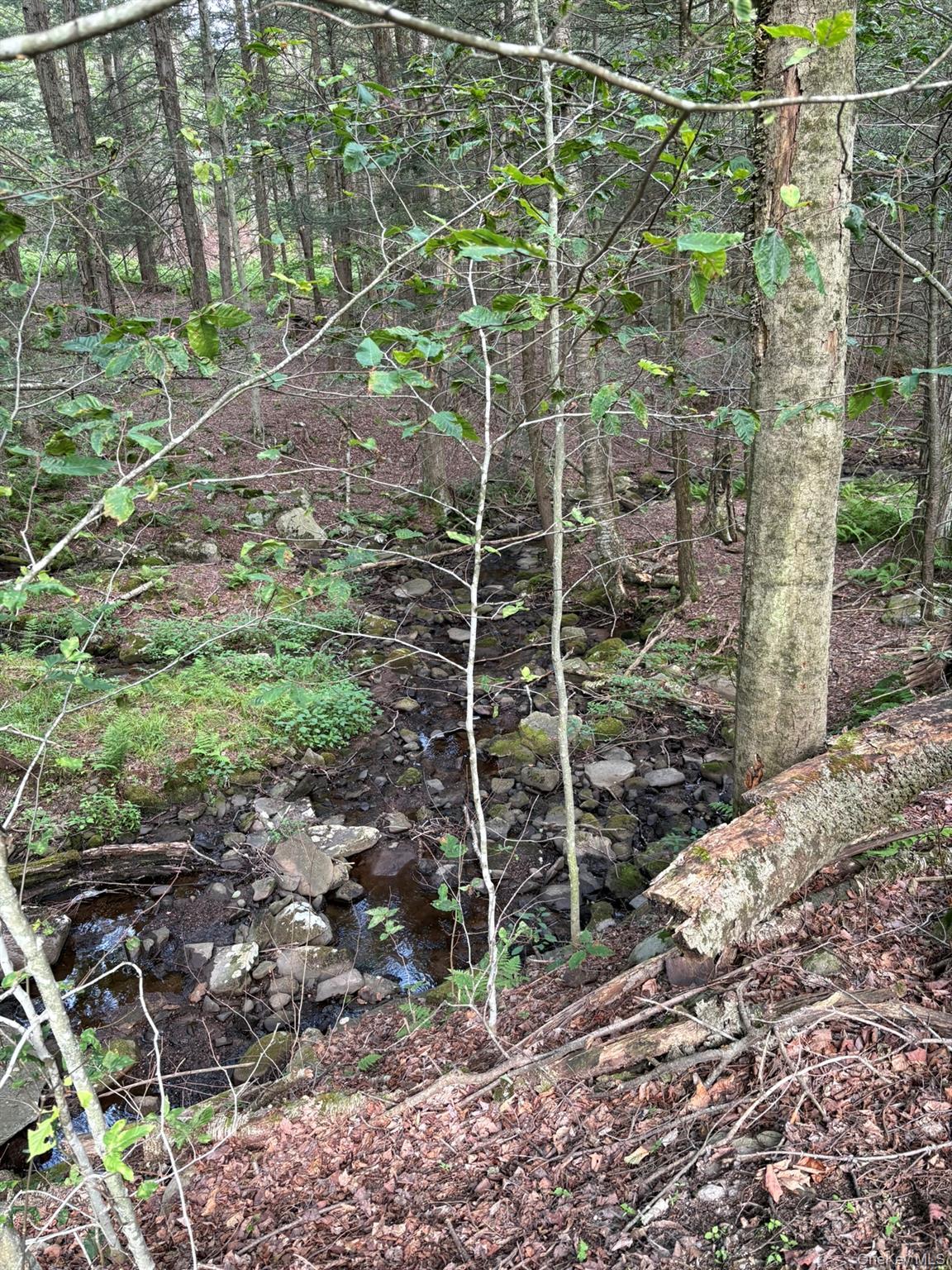 Single Family Schumway Road Sullivan County, NY 12765, MLS-1031040-15