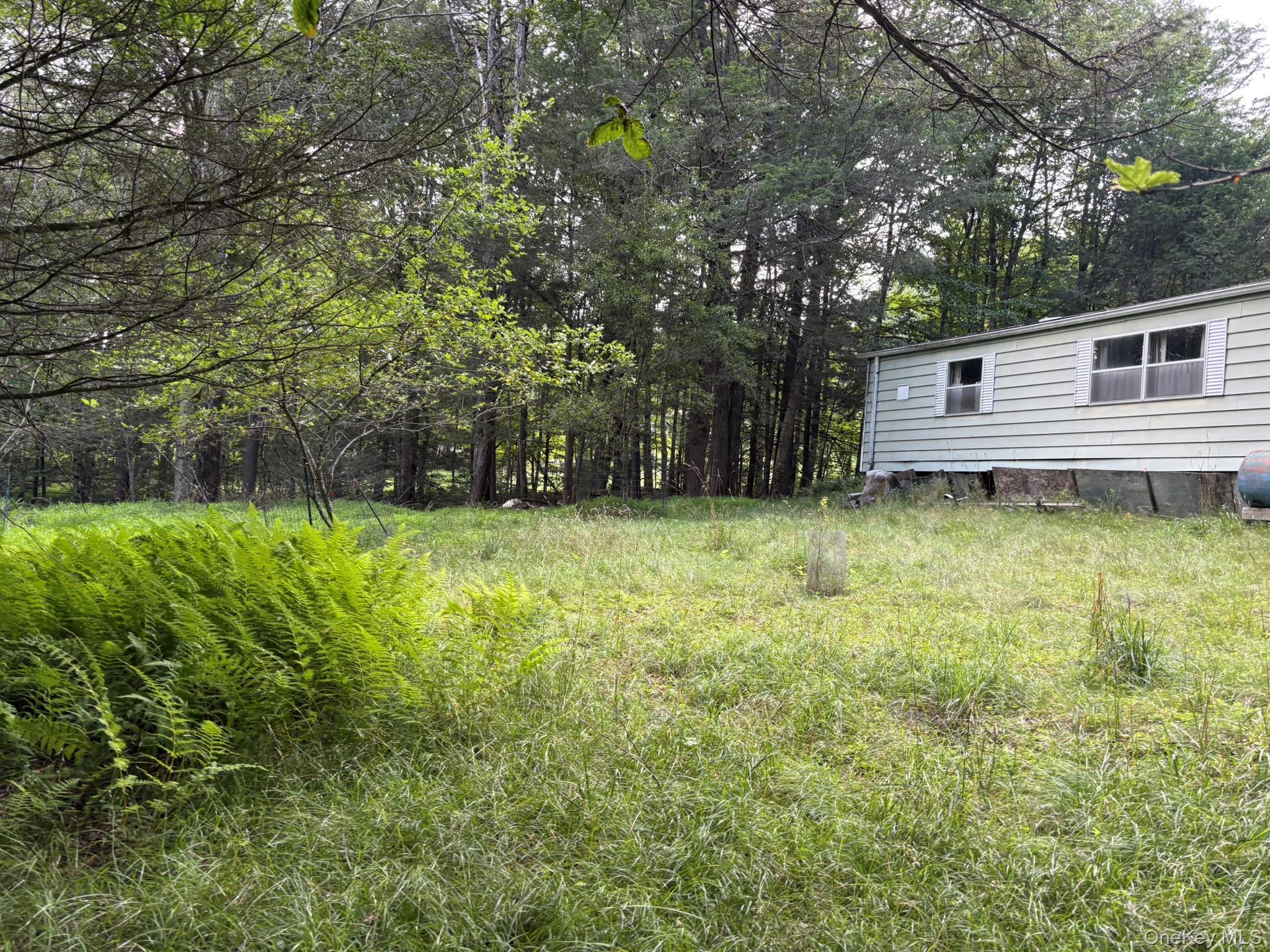 Single Family Schumway Road Sullivan County, NY 12765, MLS-1031040-16