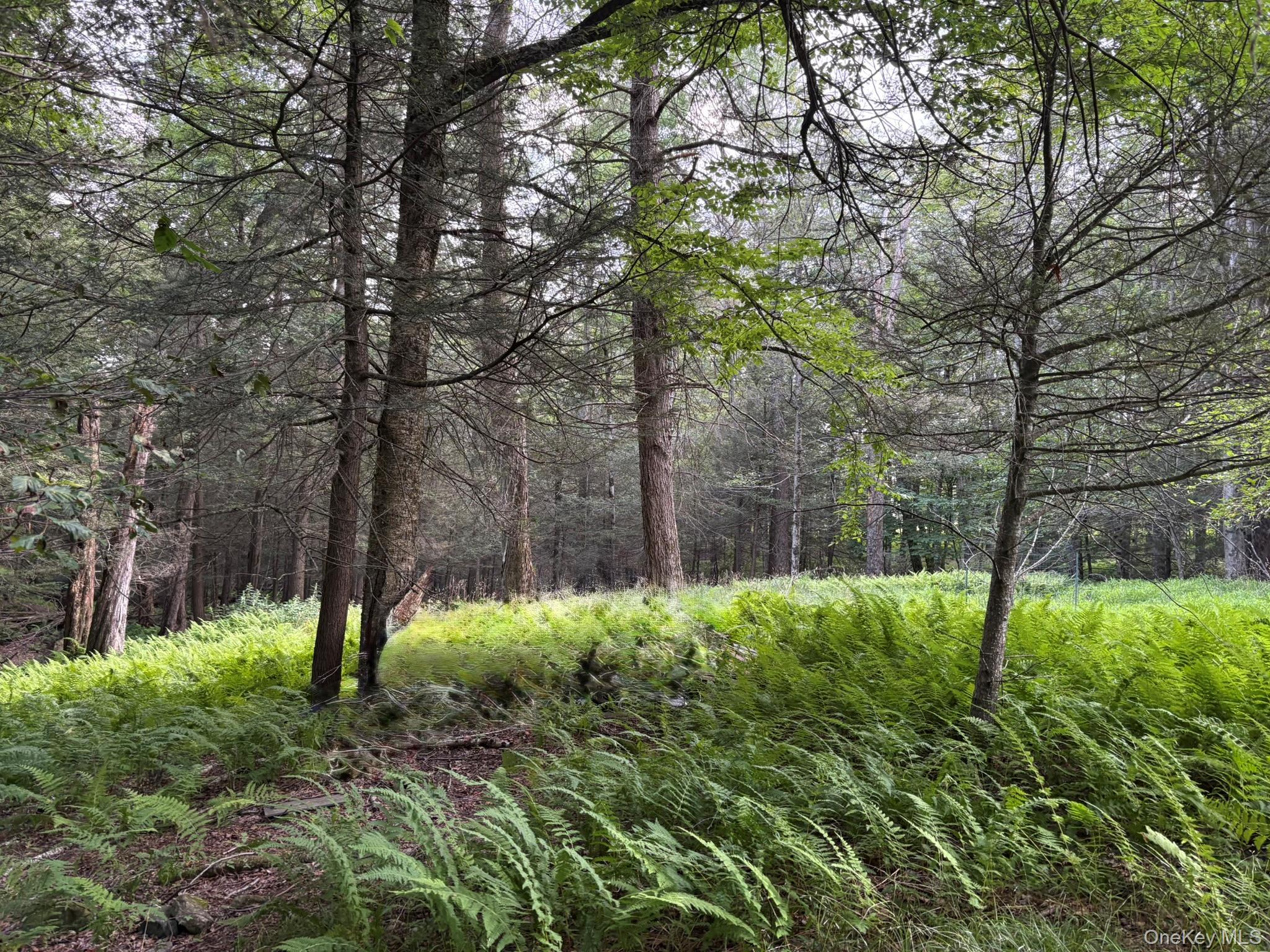 Single Family Schumway Road Sullivan County, NY 12765, MLS-1031040-17