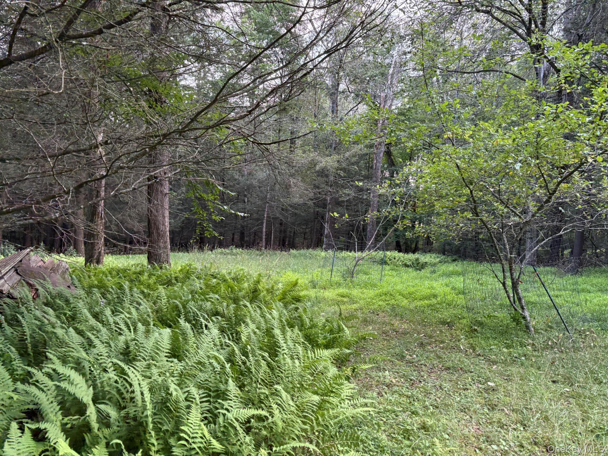 Single Family Schumway Road Sullivan County, NY 12765, MLS-1031040-18