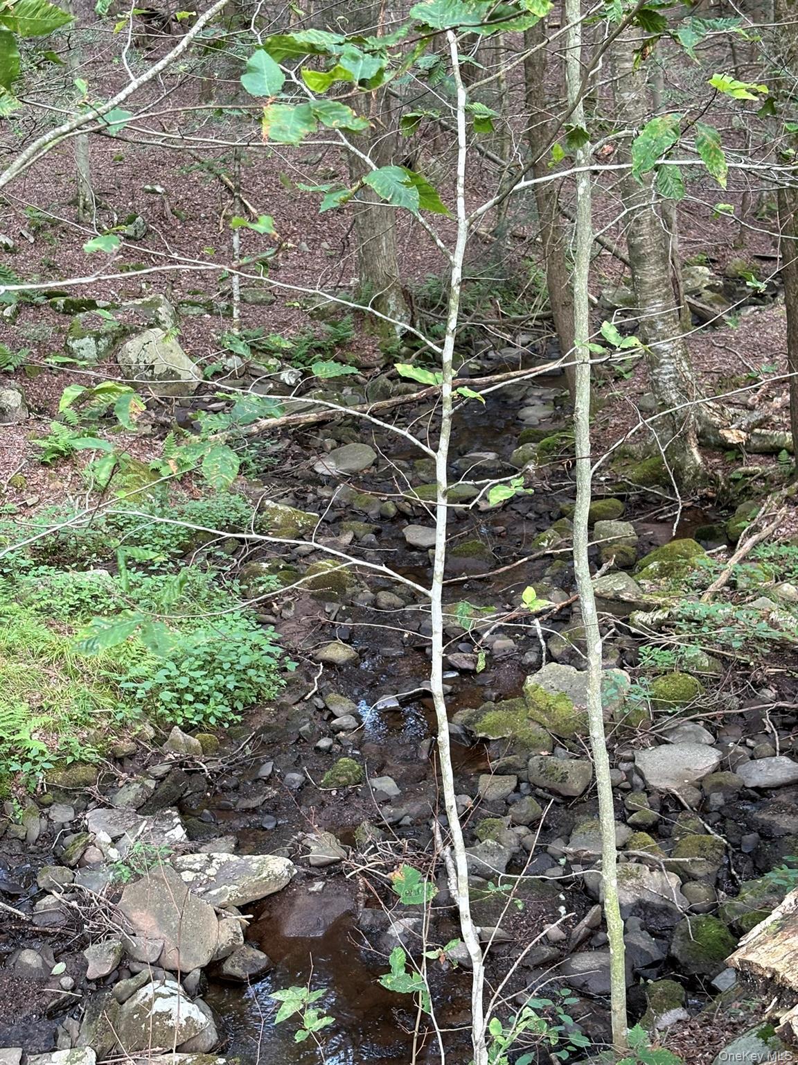 Single Family Schumway Road  Sullivan County, NY 12765, MLS-1031040-19