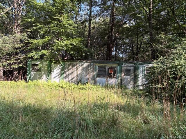 Single Family Schumway Road Sullivan County, NY 12765, MLS-1031040-4