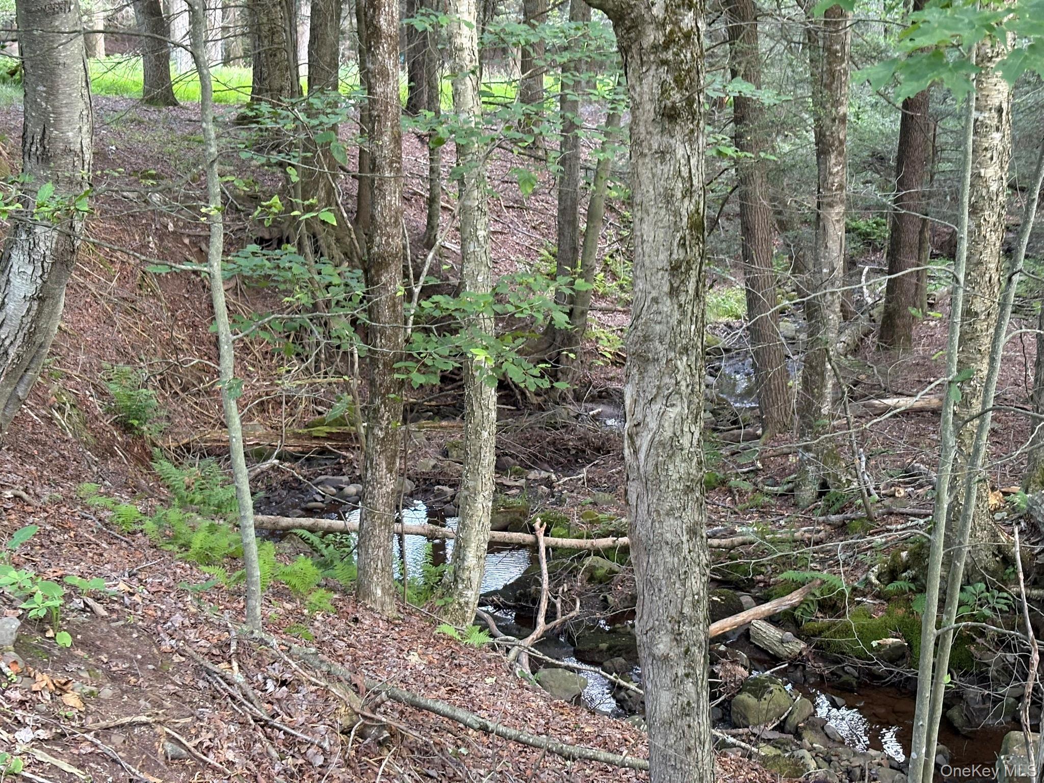Single Family Schumway Road Sullivan County, NY 12765, MLS-1031040-8