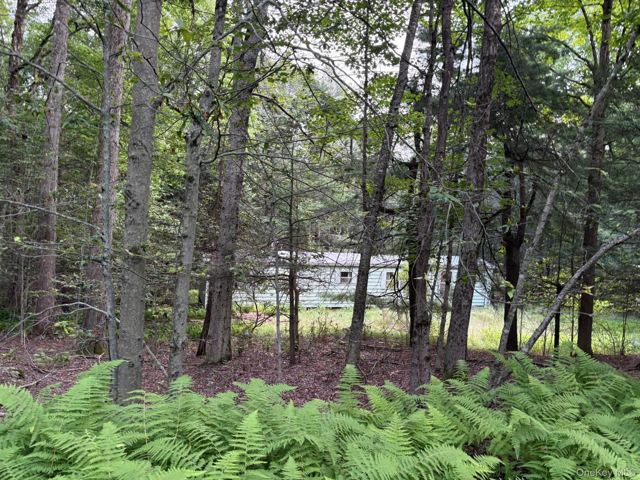 Single Family Schumway Road Sullivan County, NY 12765, MLS-1031040-9