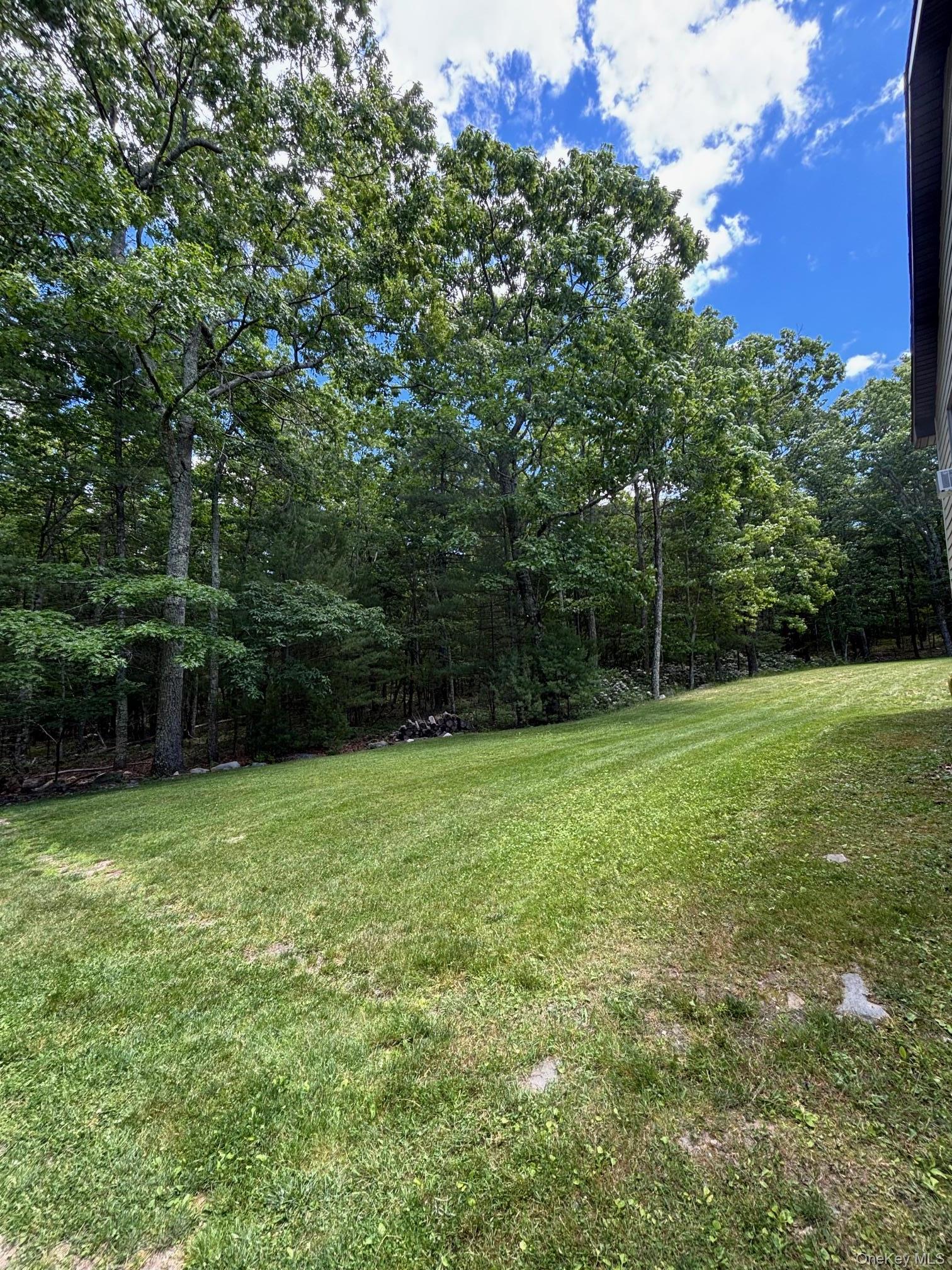 Single Family Elbert Road Sullivan County, NY 12790, MLS-1031067-22