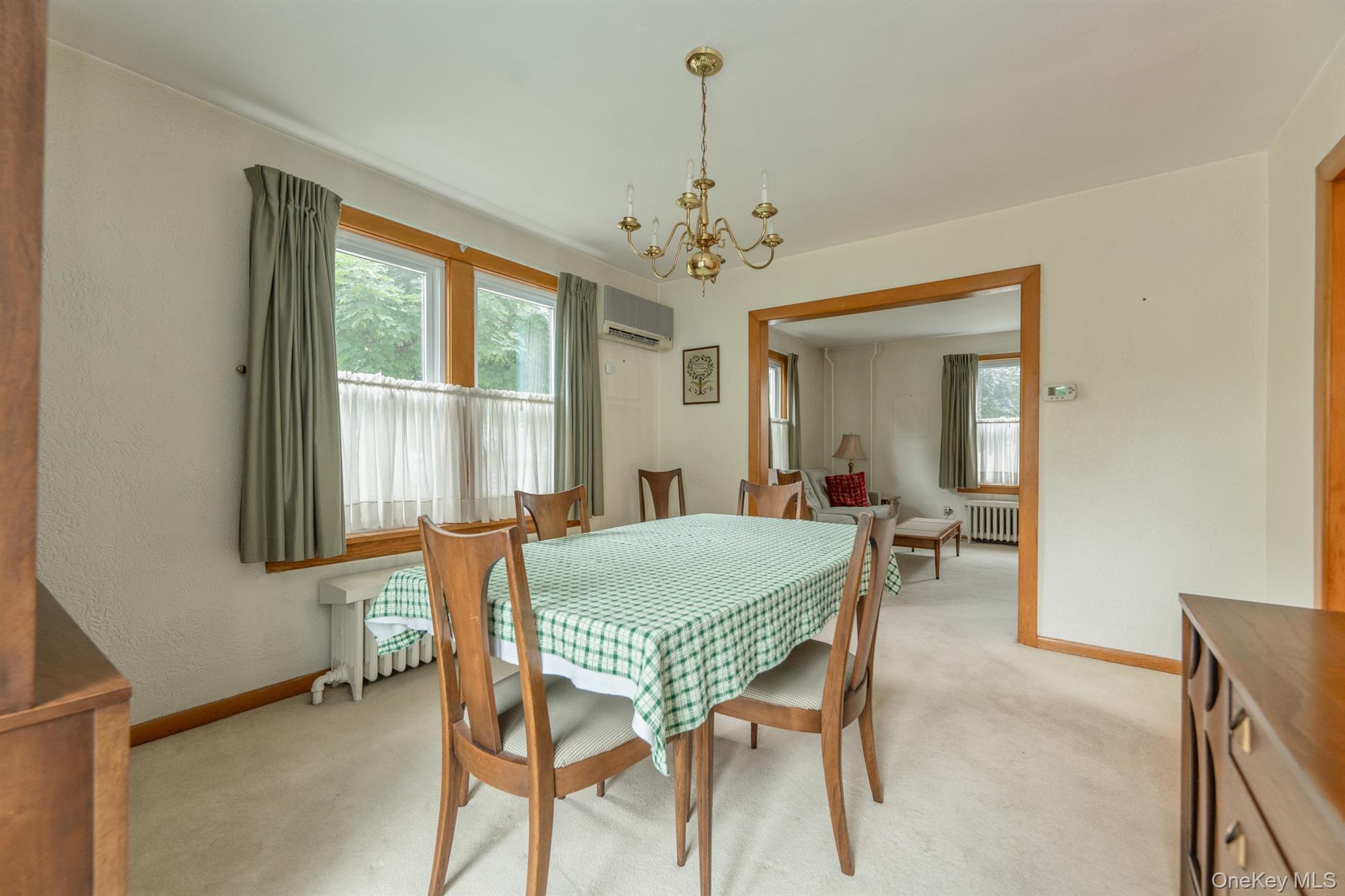 Single Family Clifton Avenue Ulster County, NY 12401, MLS-1031070-10