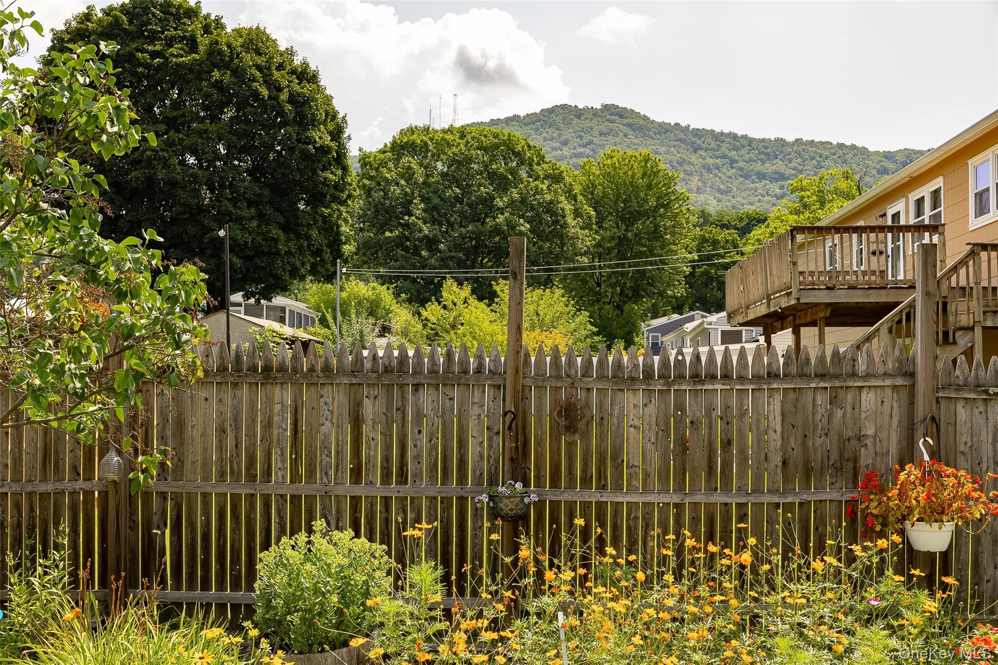 Single Family Phillips Street Dutchess County, NY 12508, MLS-1031124-24