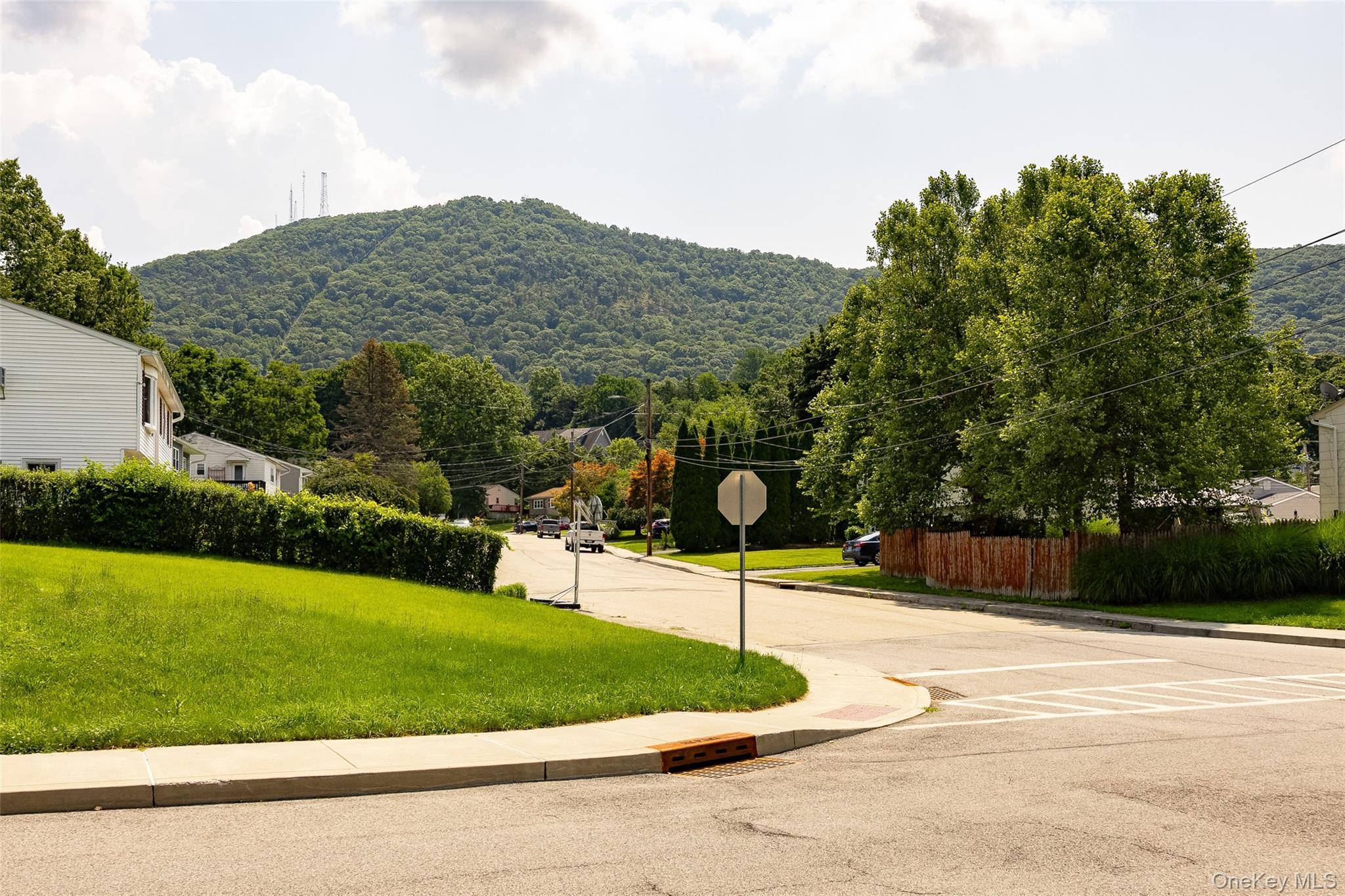 Single Family Phillips Street Dutchess County, NY 12508, MLS-1031124-3