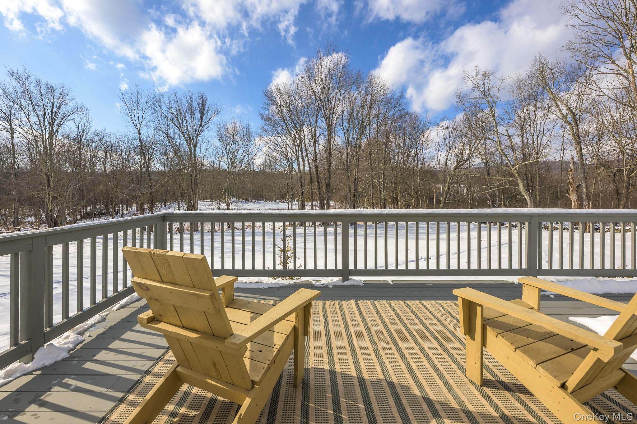 Single Family Mitchell Hollow Road  Greene County, NY 12496, MLS-1031149-31