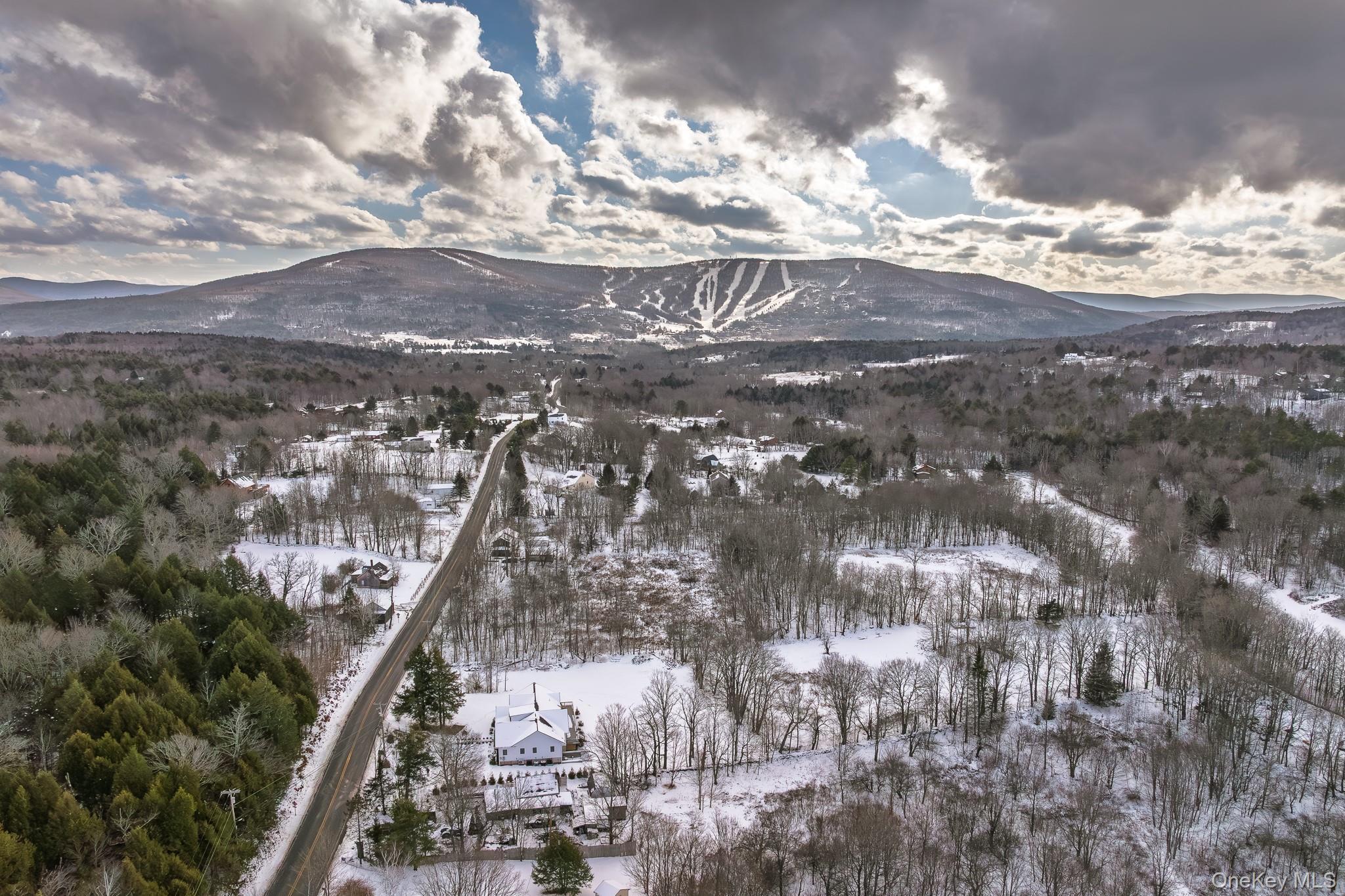 Single Family Mitchell Hollow Road  Greene County, NY 12496, MLS-1031149-41