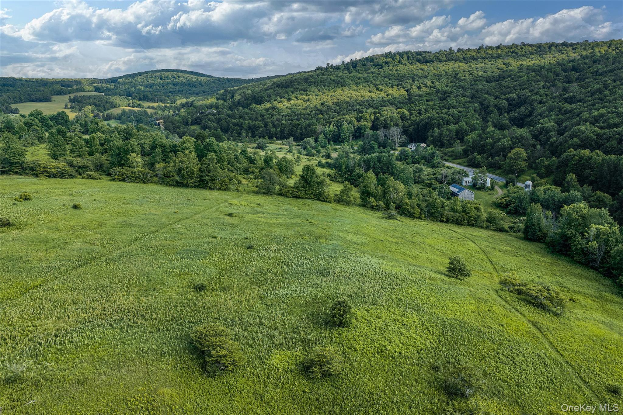 Single Family County Highway 14  Delaware County, NY 13753, MLS-1031180-47