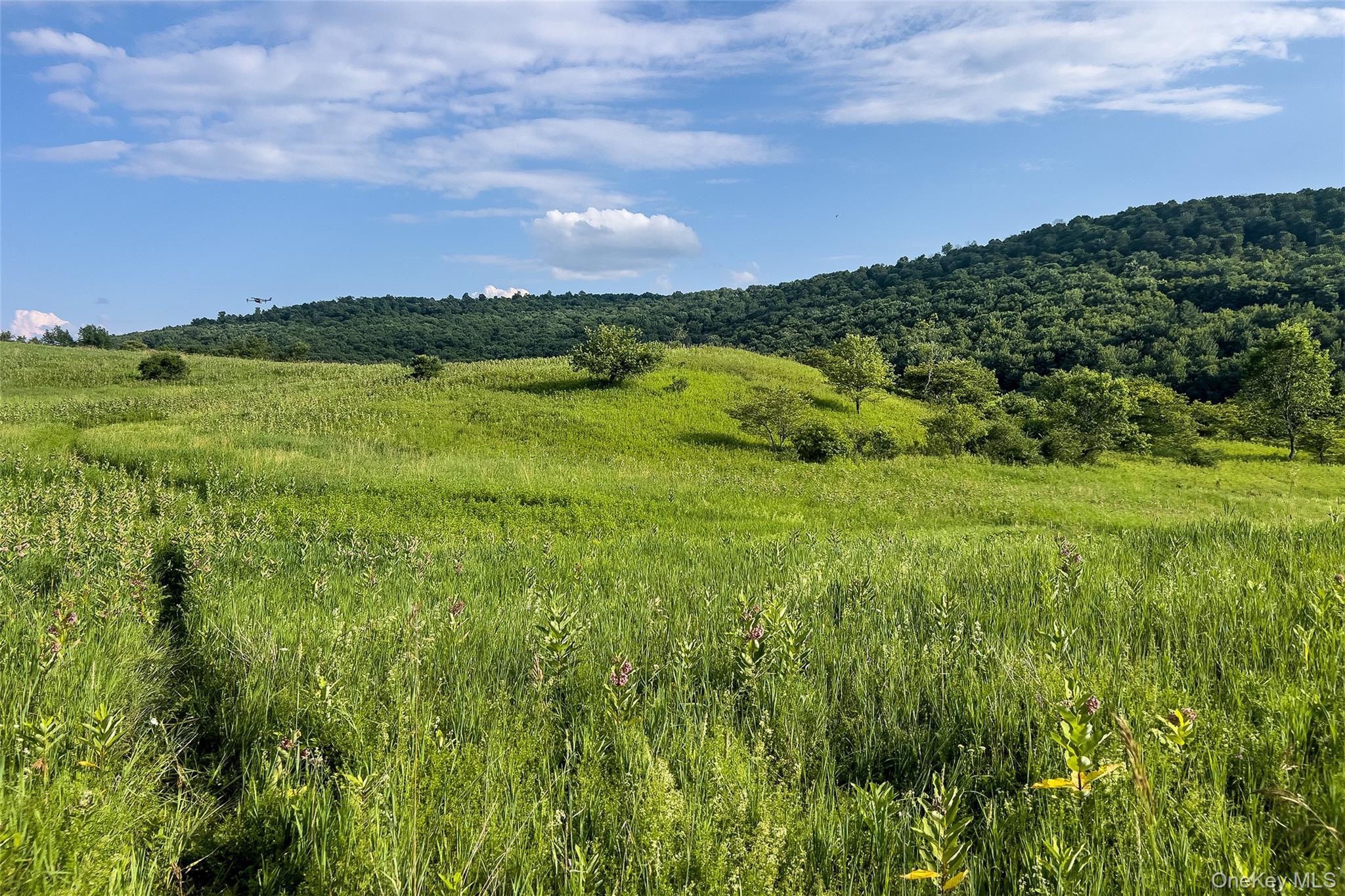 Single Family County Highway 14  Delaware County, NY 13753, MLS-1031180-49