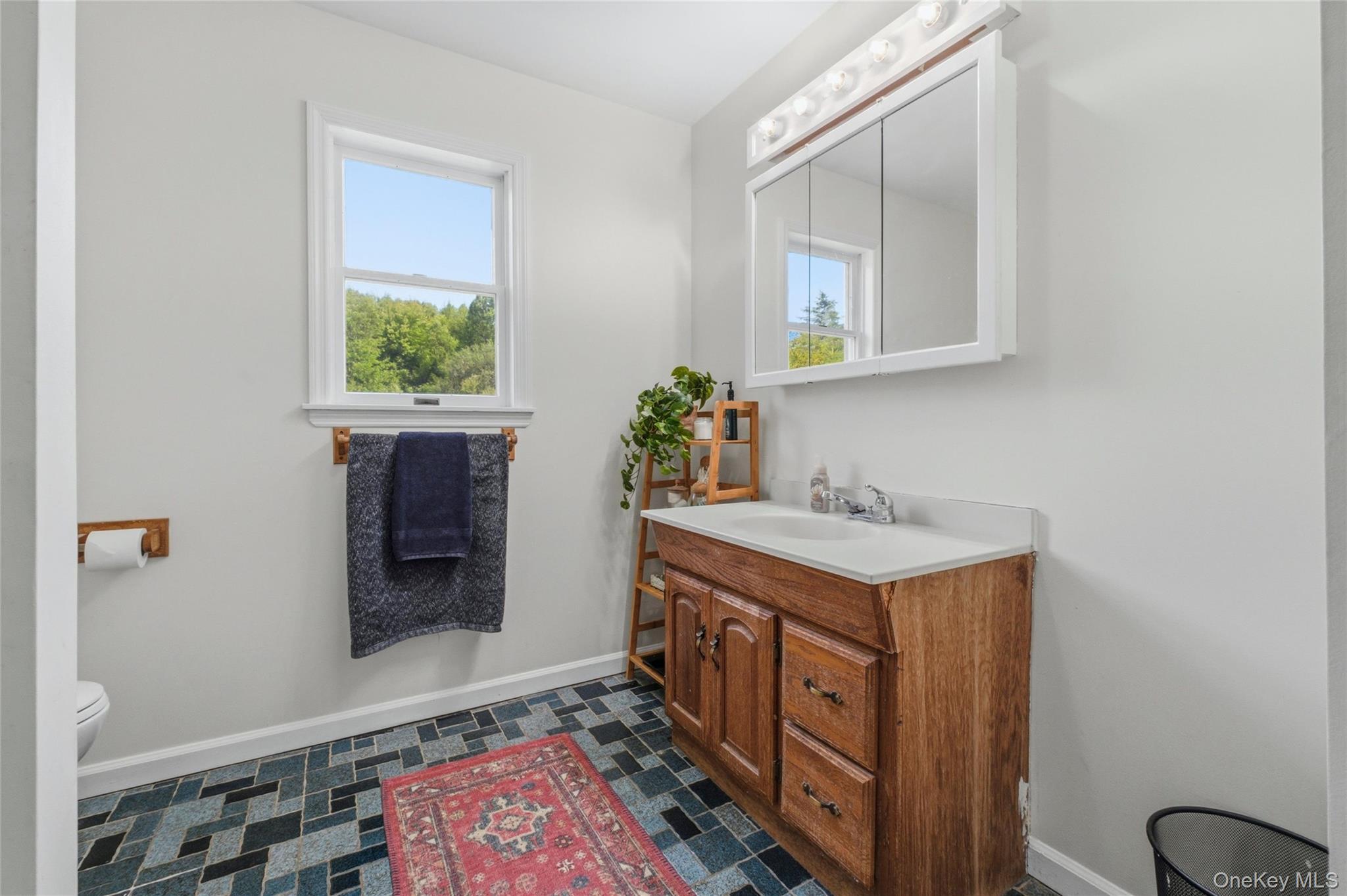 Single Family Hillside Lake Road Dutchess County, NY 12590, MLS-1031185-19