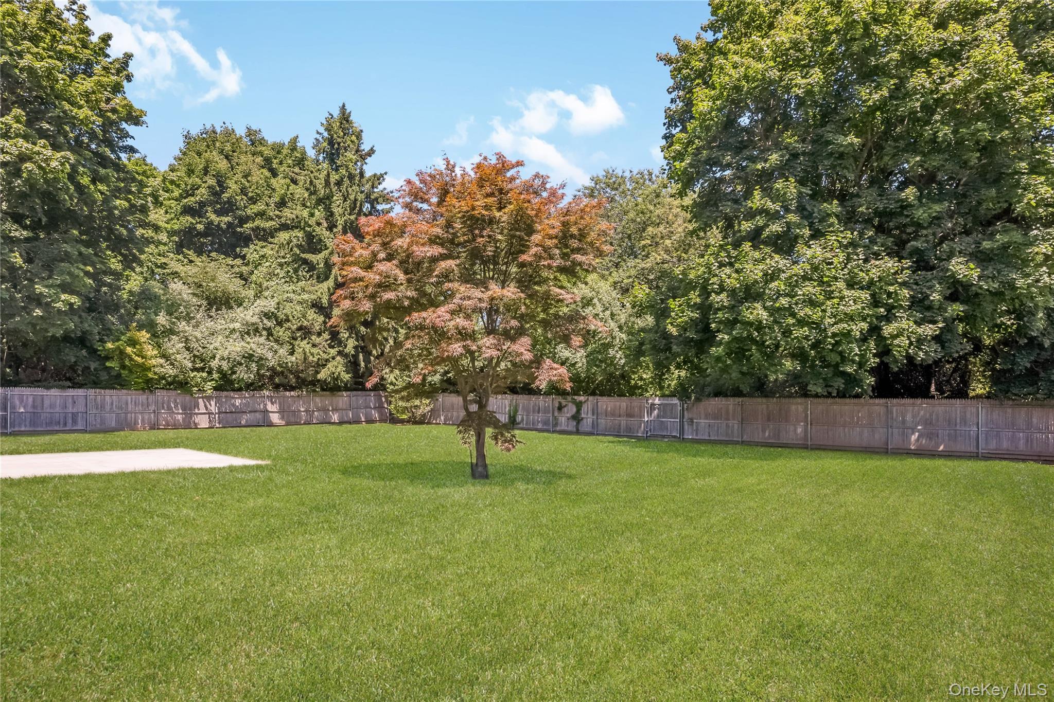 Single Family Raynor Road Suffolk County, NY 11961, MLS-1031187-7