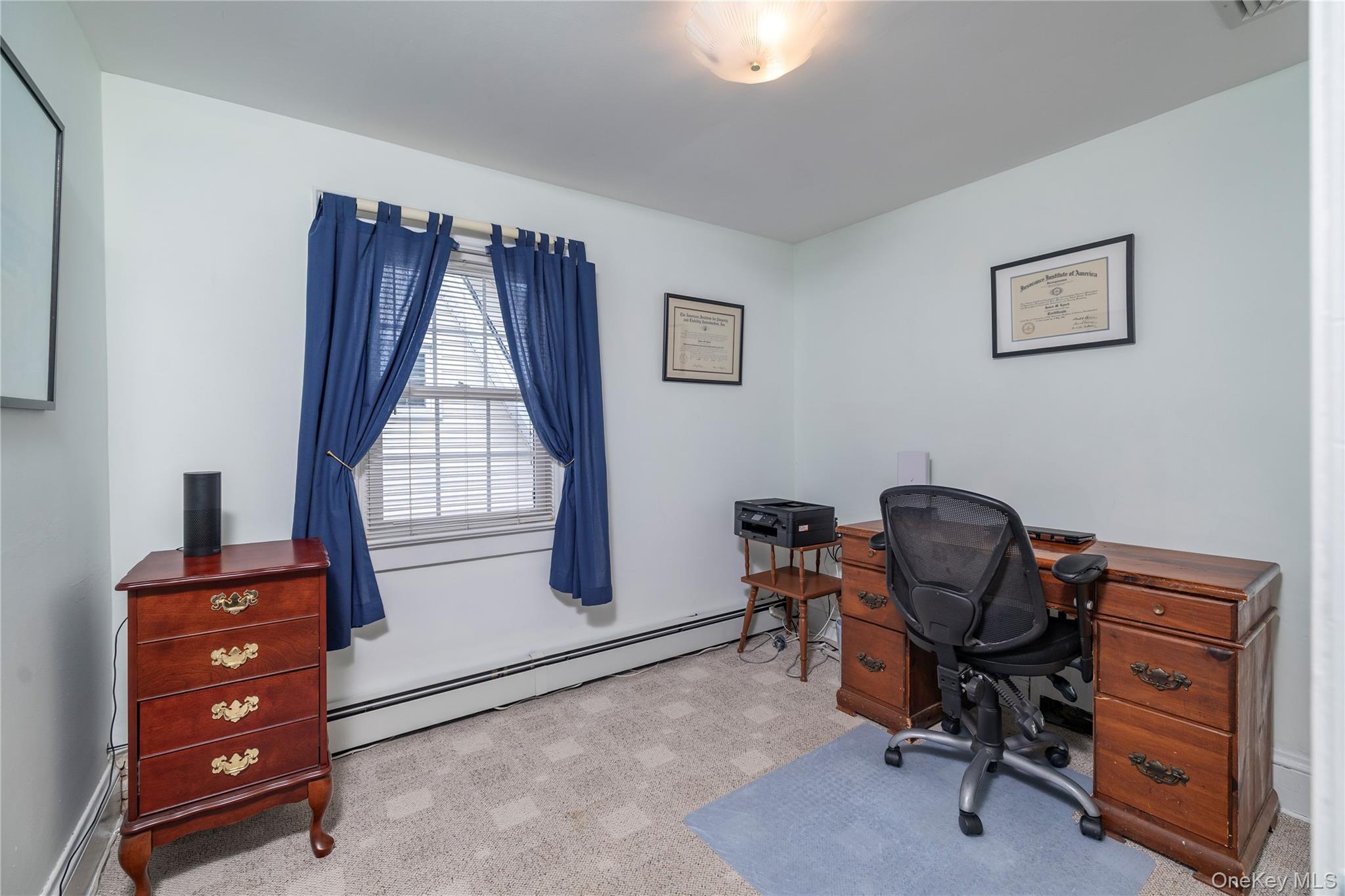 Single Family Princeton Street Nassau County, NY 11570, MLS-1031195-16