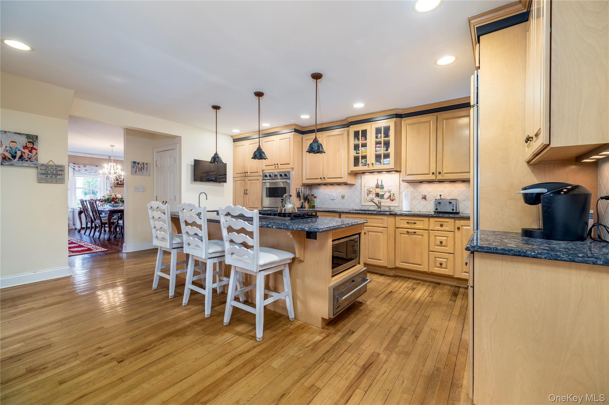 Single Family Princeton Street Nassau County, NY 11570, MLS-1031195-8