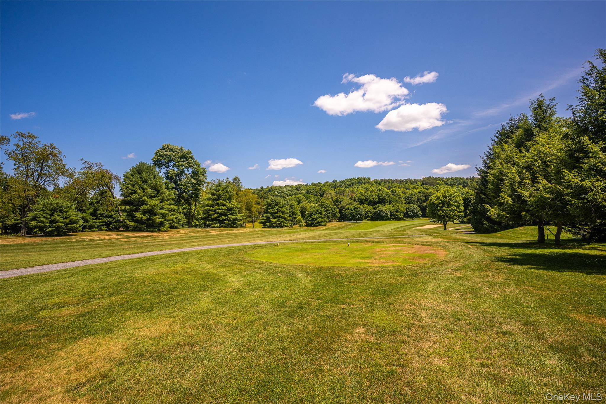 Single Family Tee Lane Dutchess County, NY 12571, MLS-1031234-6