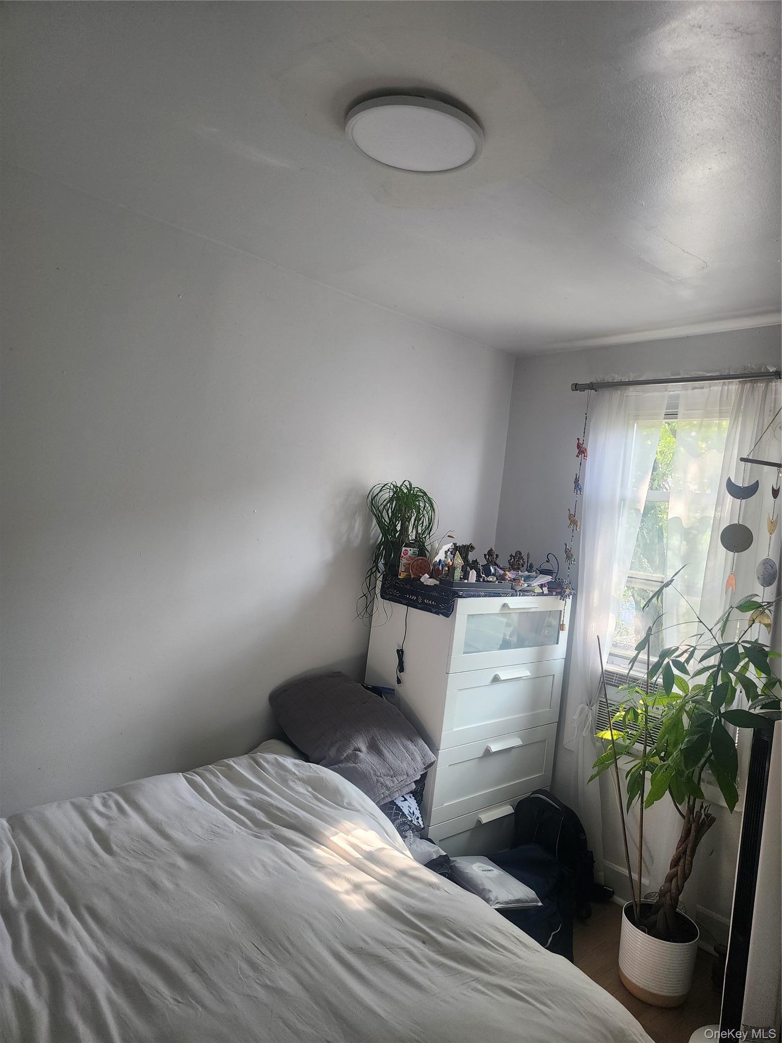 Single Family Milford Street  Brooklyn, NY 11208, MLS-1031273-2