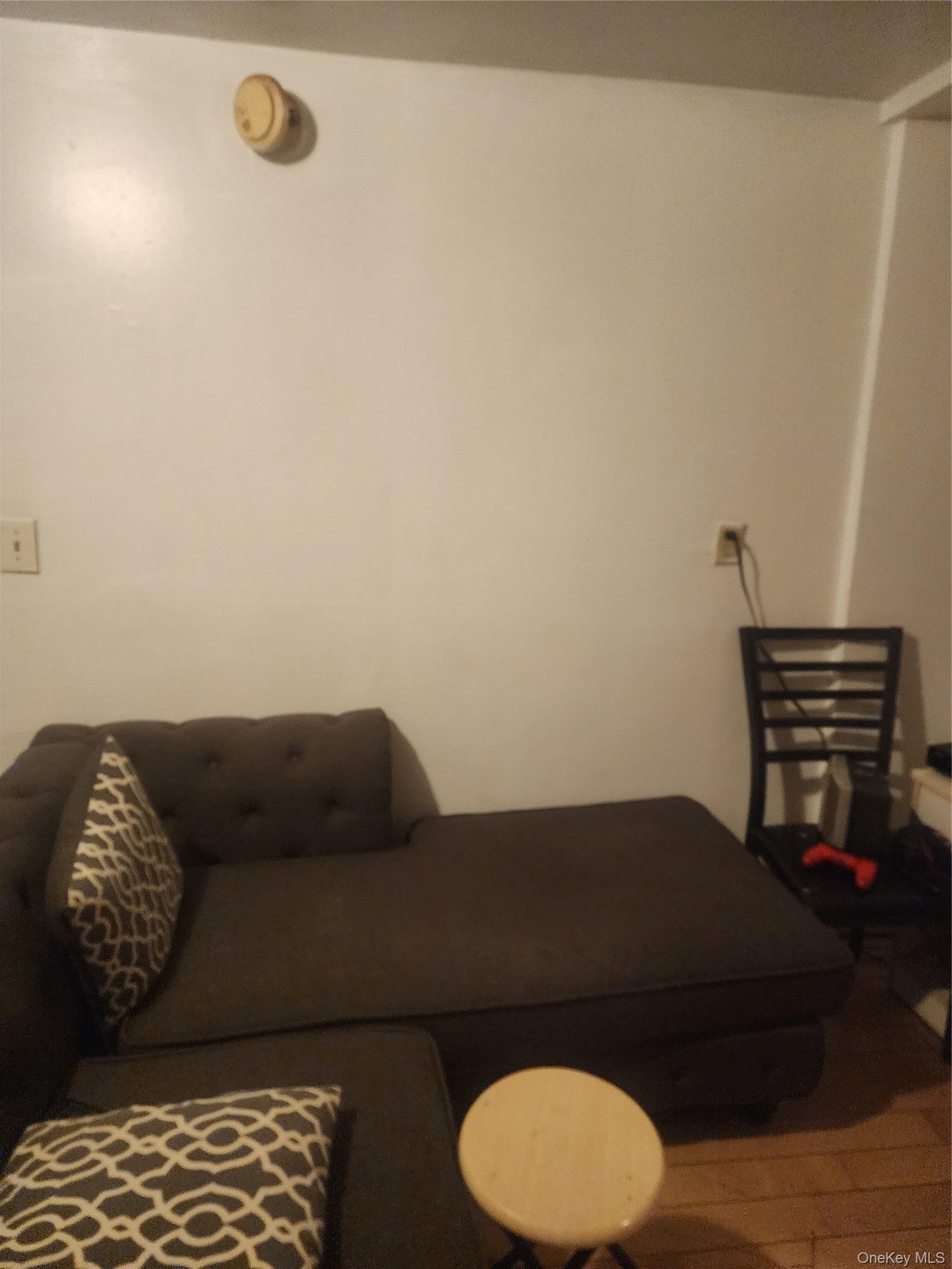 Single Family Milford Street  Brooklyn, NY 11208, MLS-1031273-4