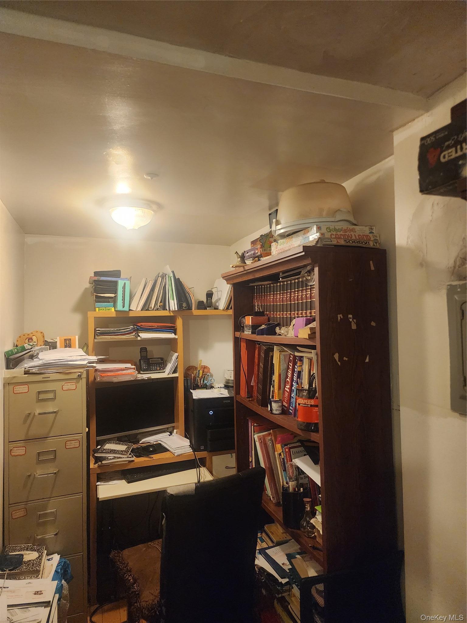 Single Family Milford Street  Brooklyn, NY 11208, MLS-1031273-5