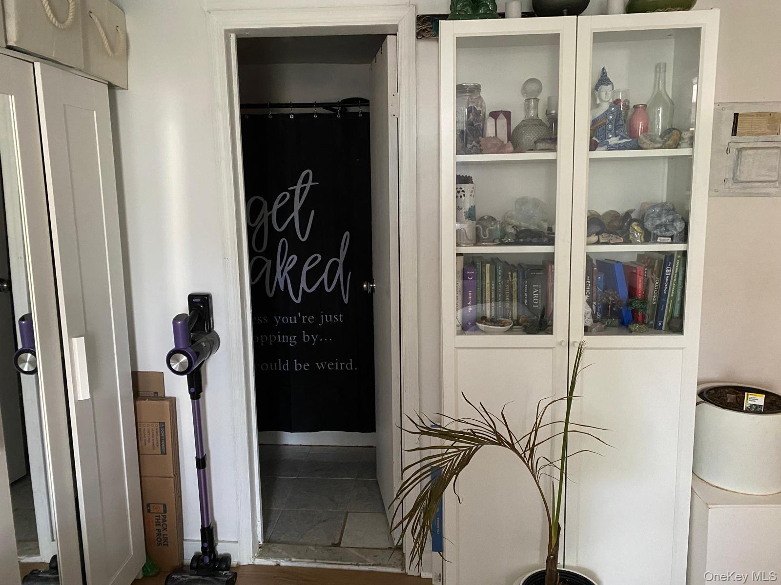 Single Family Milford Street  Brooklyn, NY 11208, MLS-1031273-9